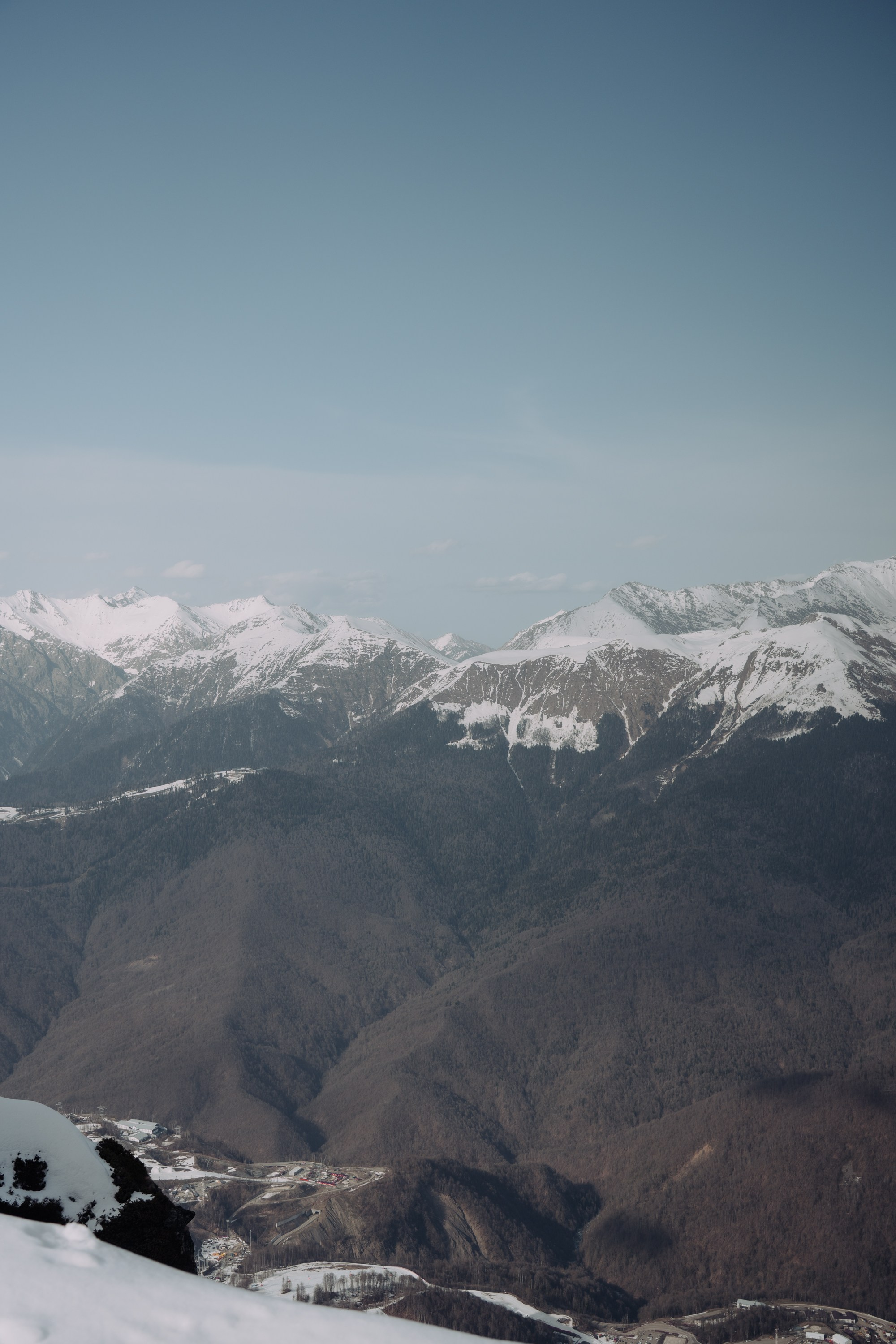 Yandex 360 & NewStarCamp