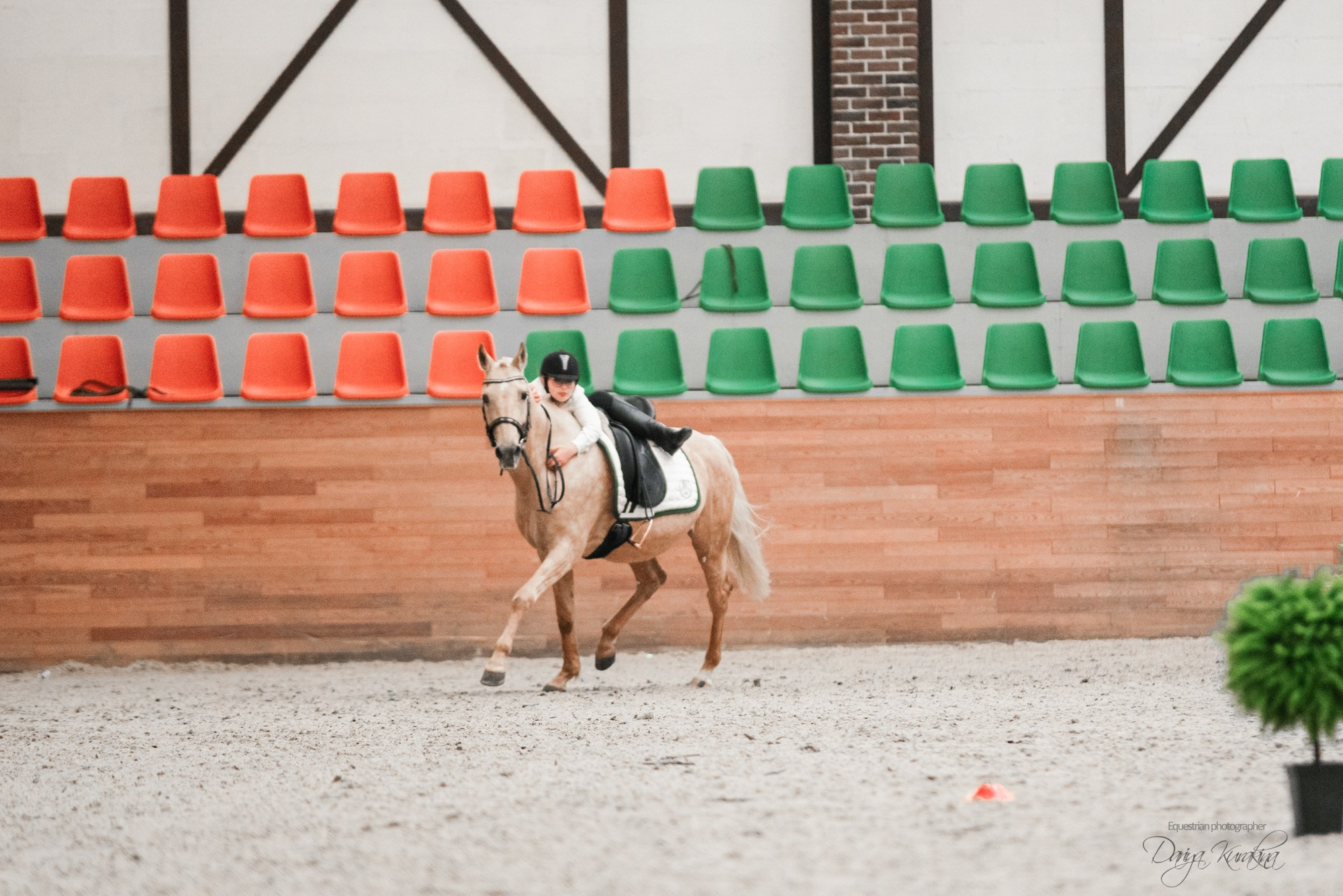 8-я международная выставка Конная Россия. Конный фотограф Куракина Дарья • Фотосессии с лошадьми