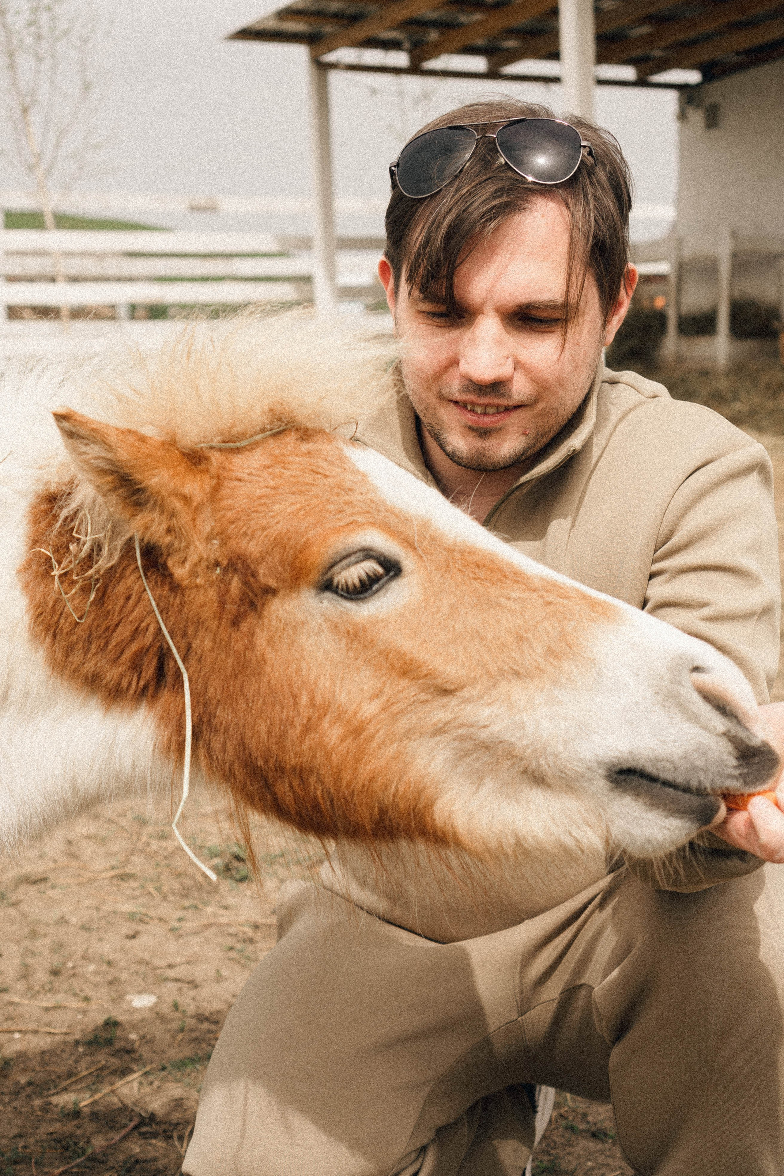 Ферма Альпак. Профессиональный фотограф, Санкт-Петербург — Виктория Богомолова