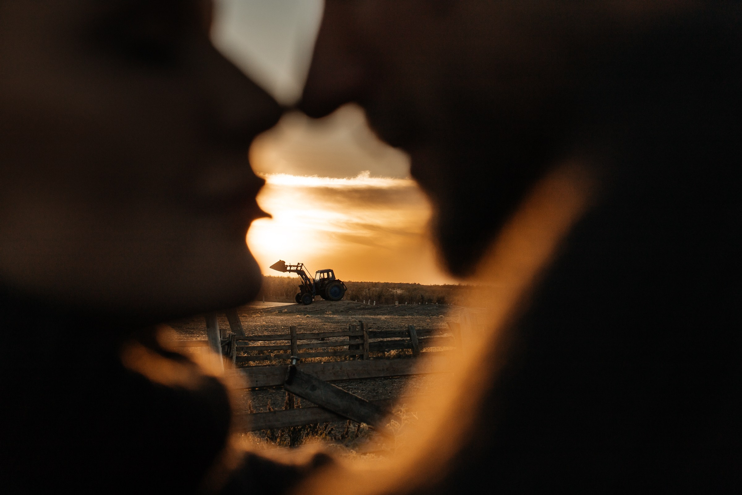 Артем Настя и Николь. Семейный фотограф в Волгодонске Краченцева Анна