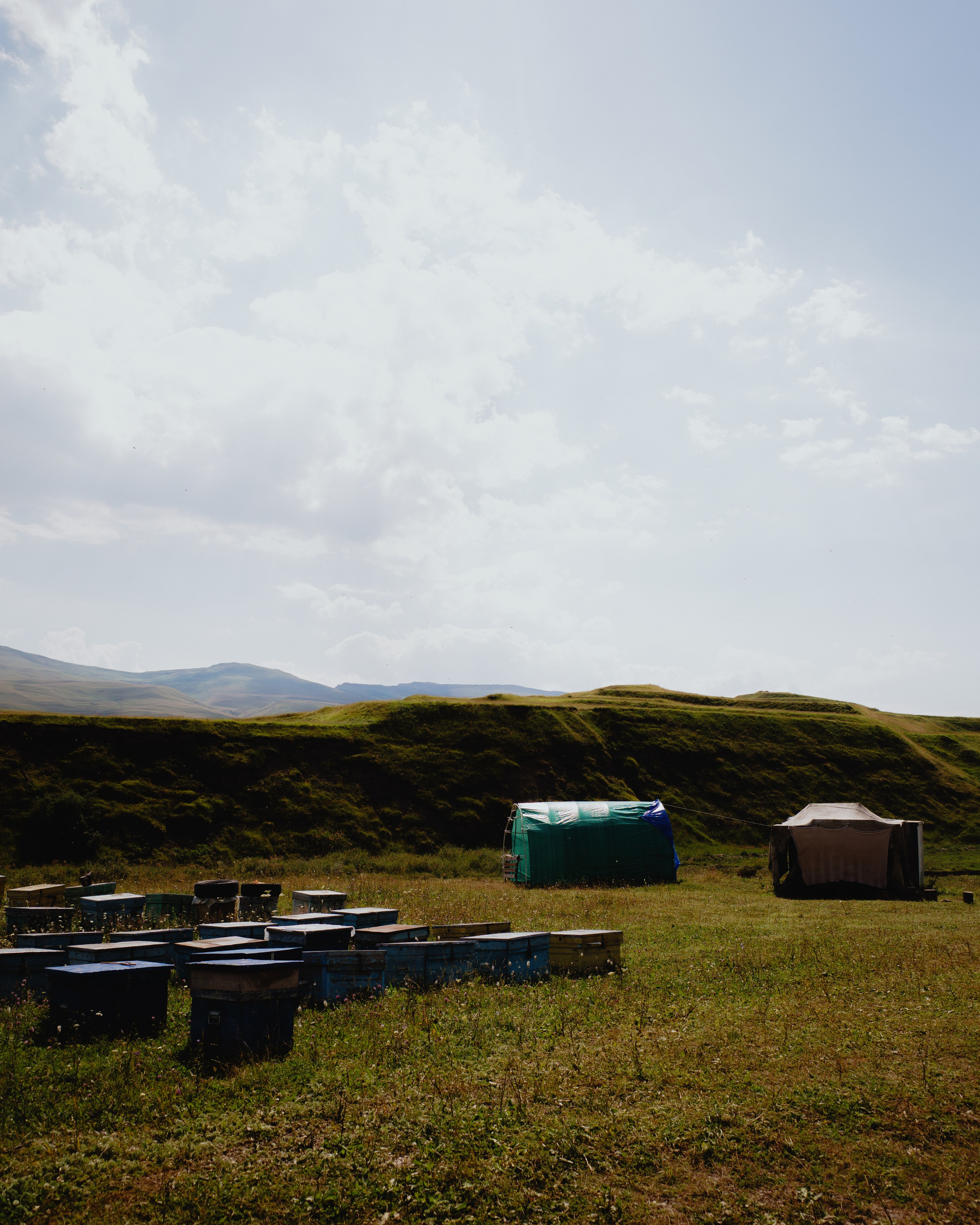 Dagestan / Yandex 360 x КУДА ГЛАЗА ГЛЯДЯТ