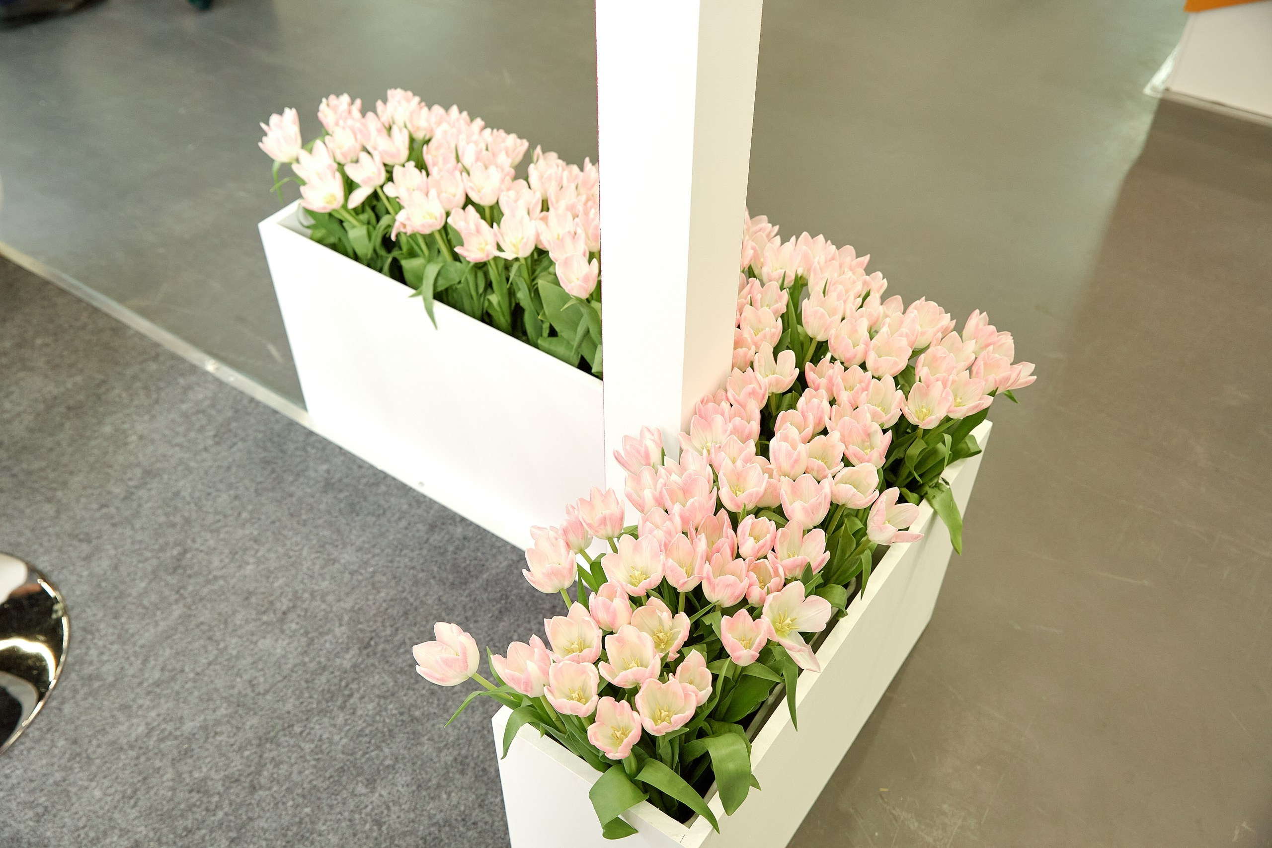 Стенд компании Angelini Pharma / Конференция РАРЧ 2023. Антон Артюшин, портретный фотограф. Москва