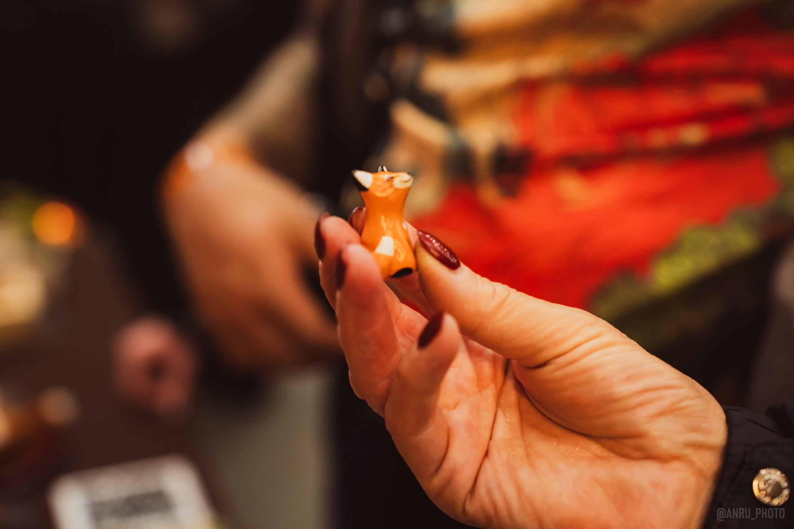 Fox Family fest. Репортажный фотограф Анастасия Рубцова