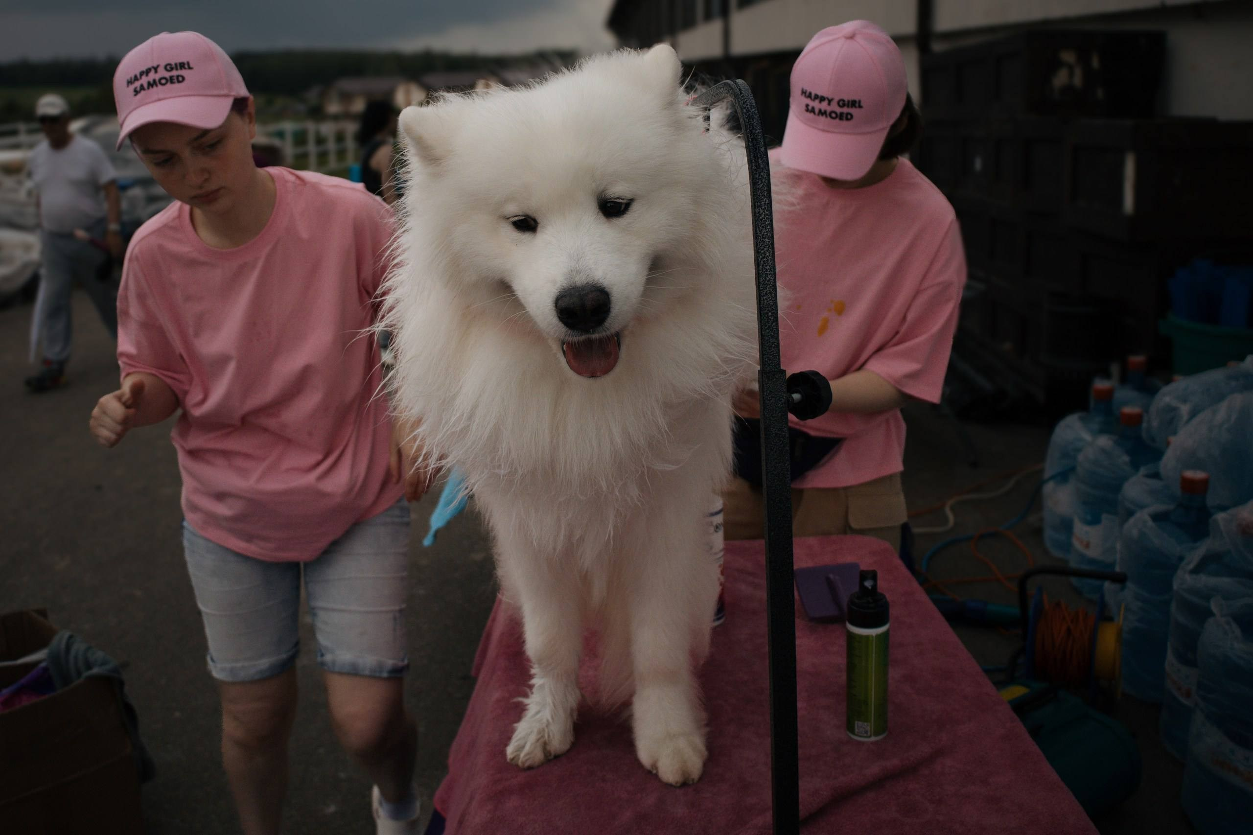 Россия 2025. Фотограф-анималист в Москве Екатерина Тихонова