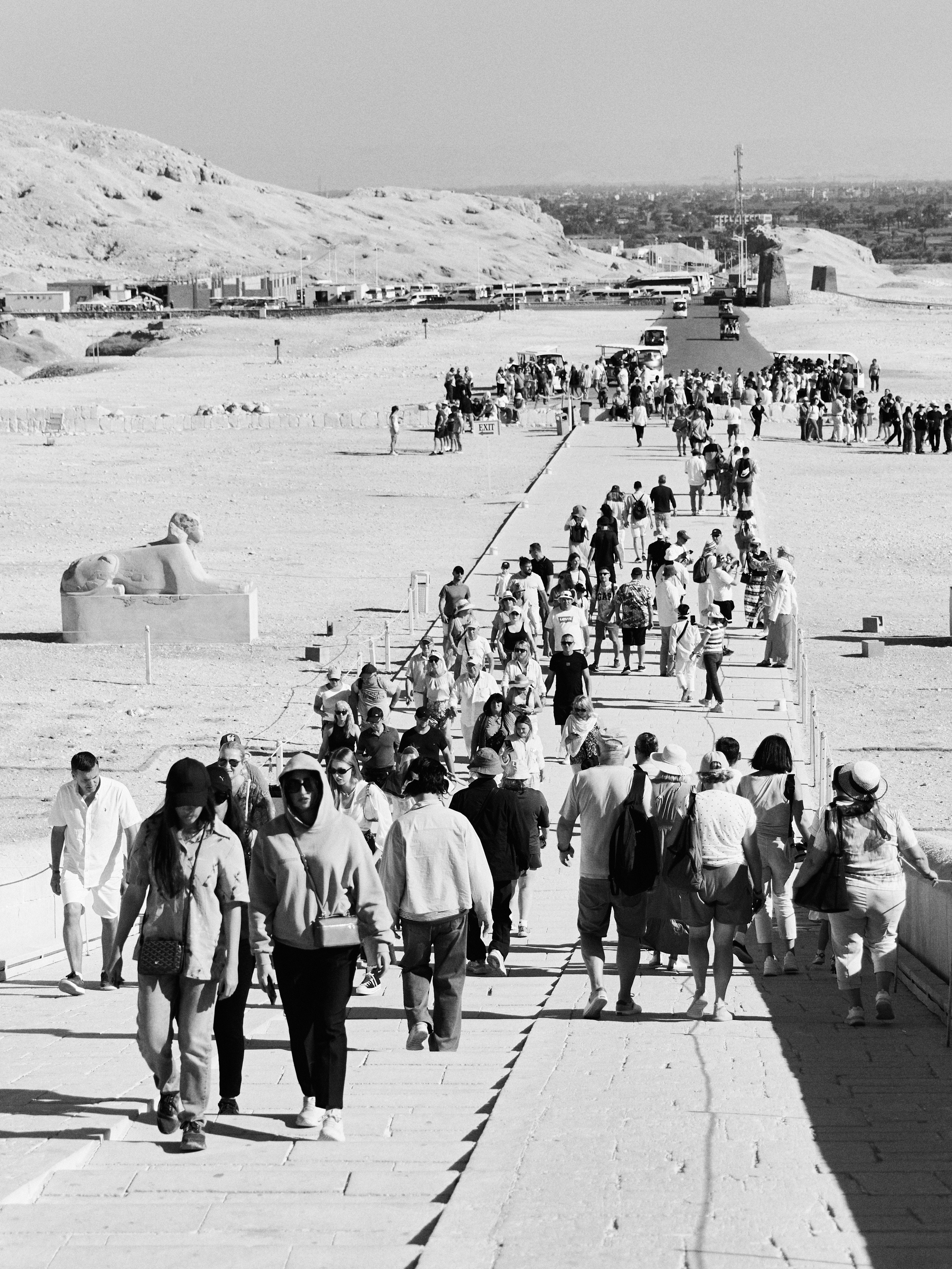 Другое 4. Jorgis — фотограф в Хургаде / обучение фотографии