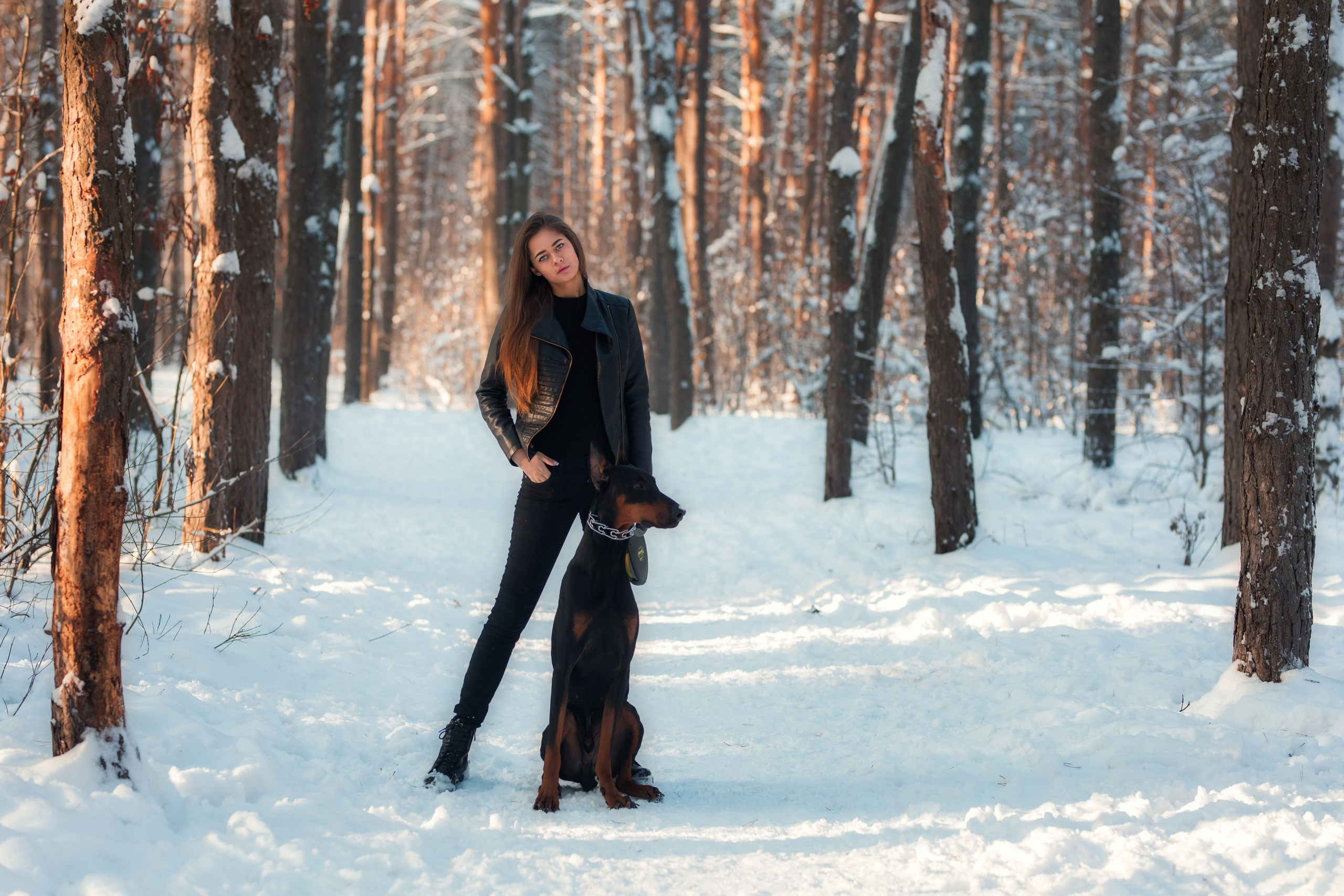 Зимняя съемка в лесу с доберманом с Ольгой в формате для «себя»