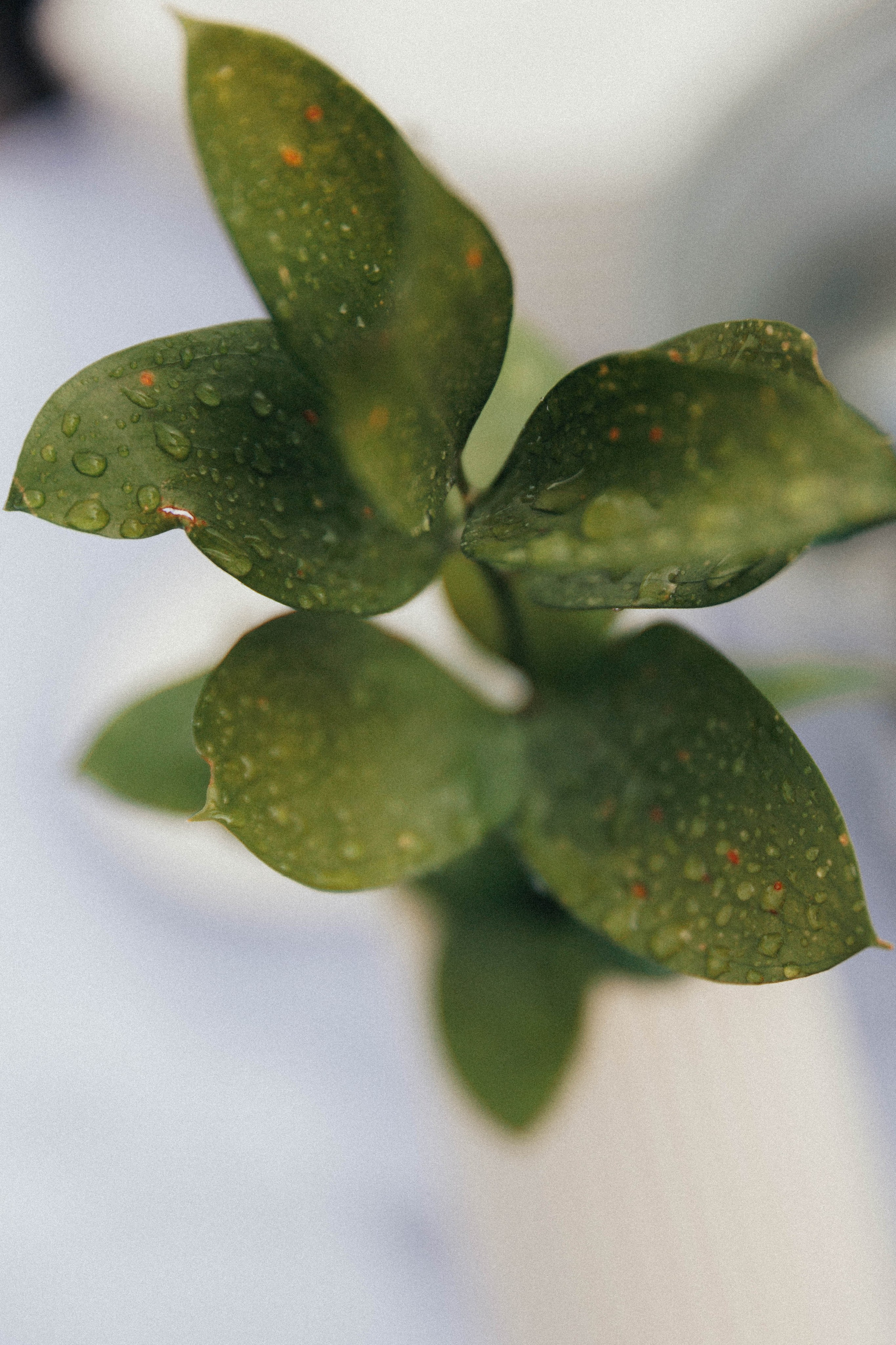 Алёна&Данил. Фотограф ЕКБ