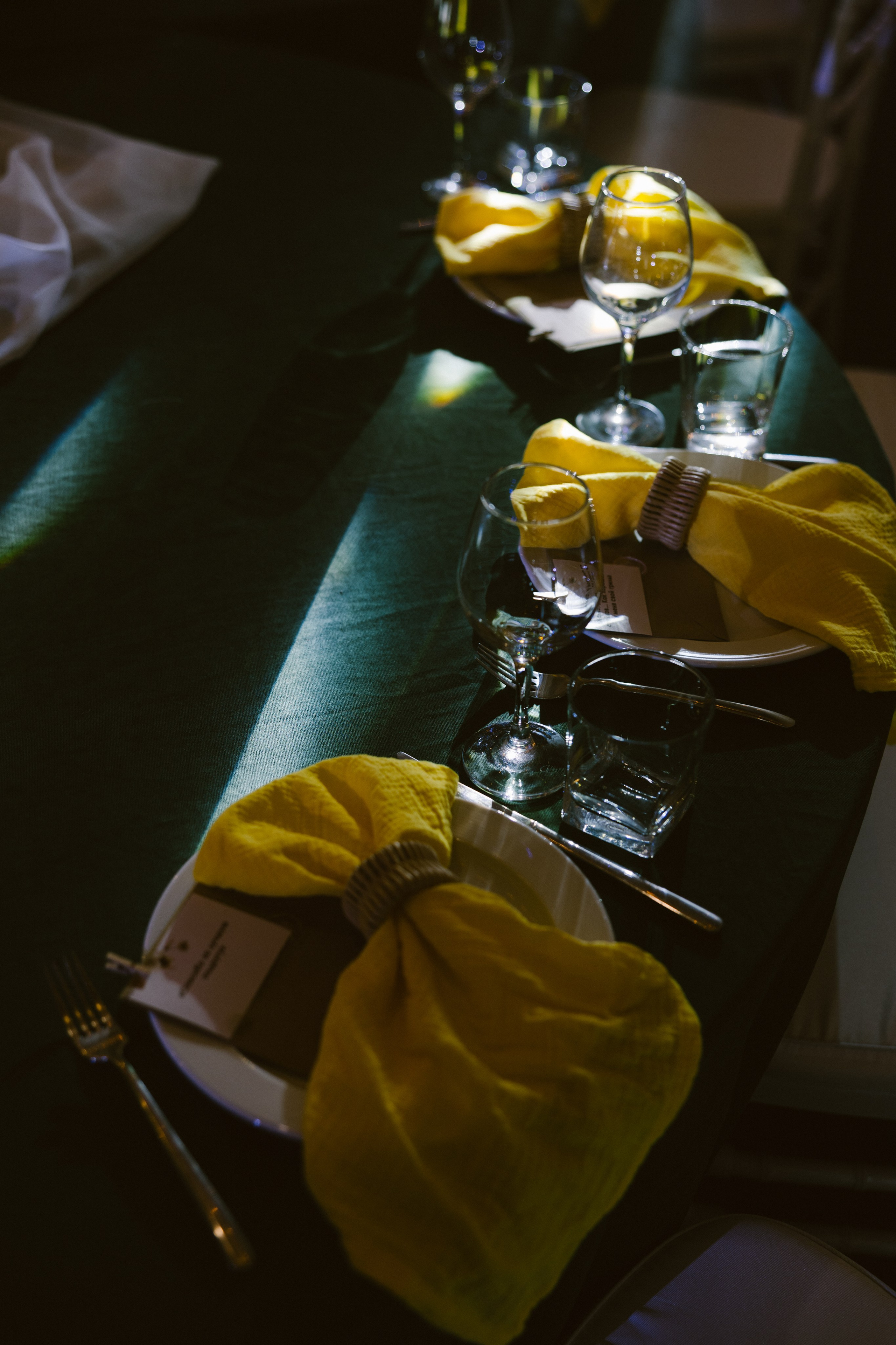 Максим + Алина. Александр Видякин Фотограф в Хакасии и Красноярском крае