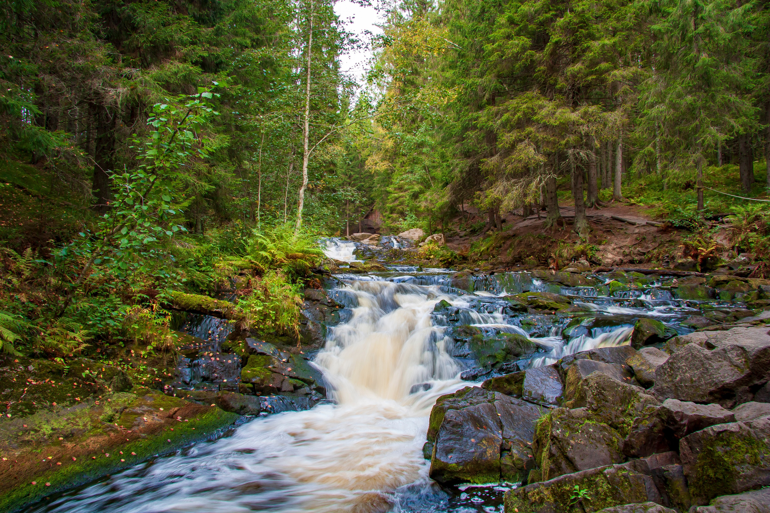 Пейзаж. Фотограф Люся Воробьева