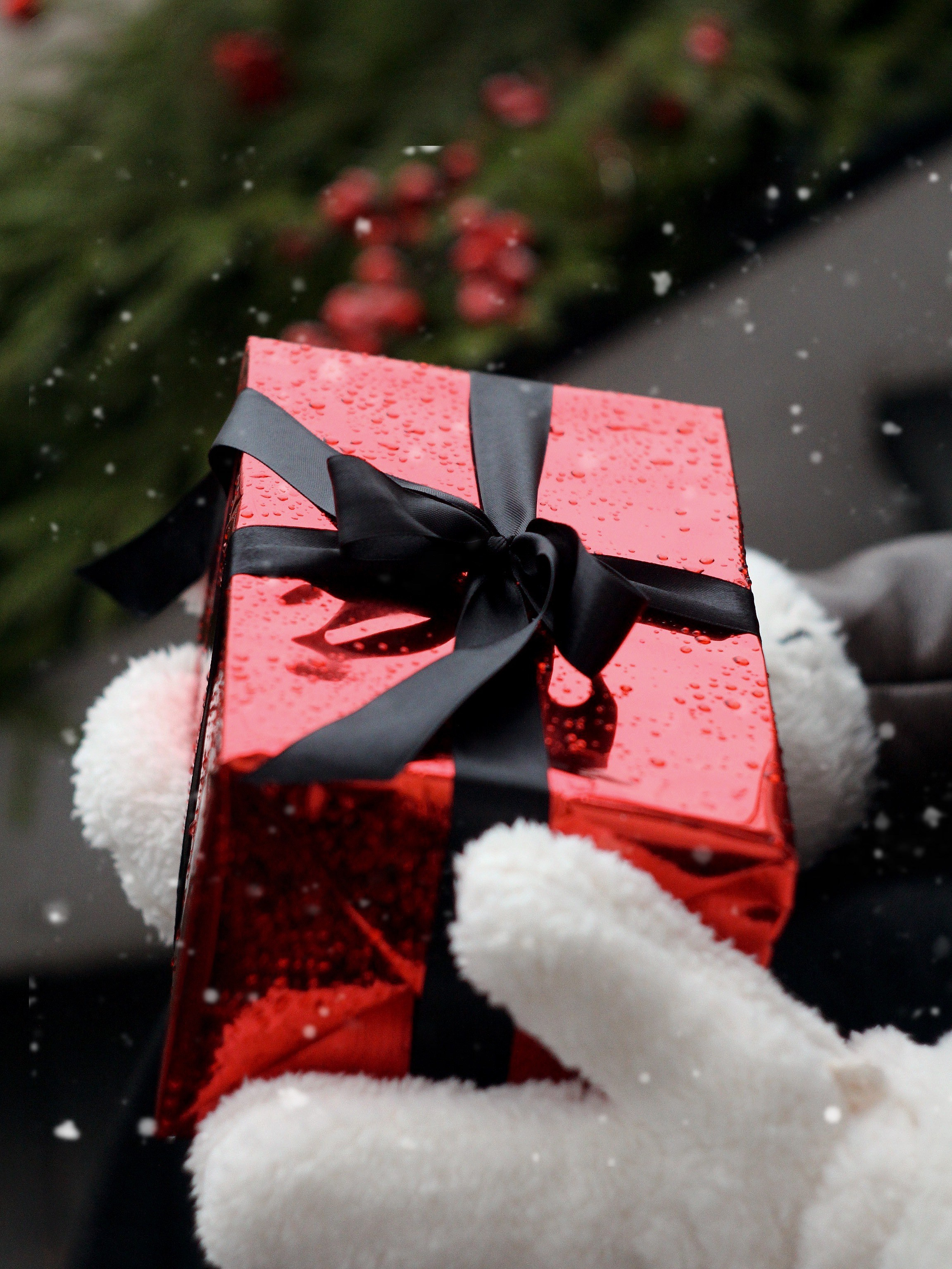 Winter snow. Photography Eva