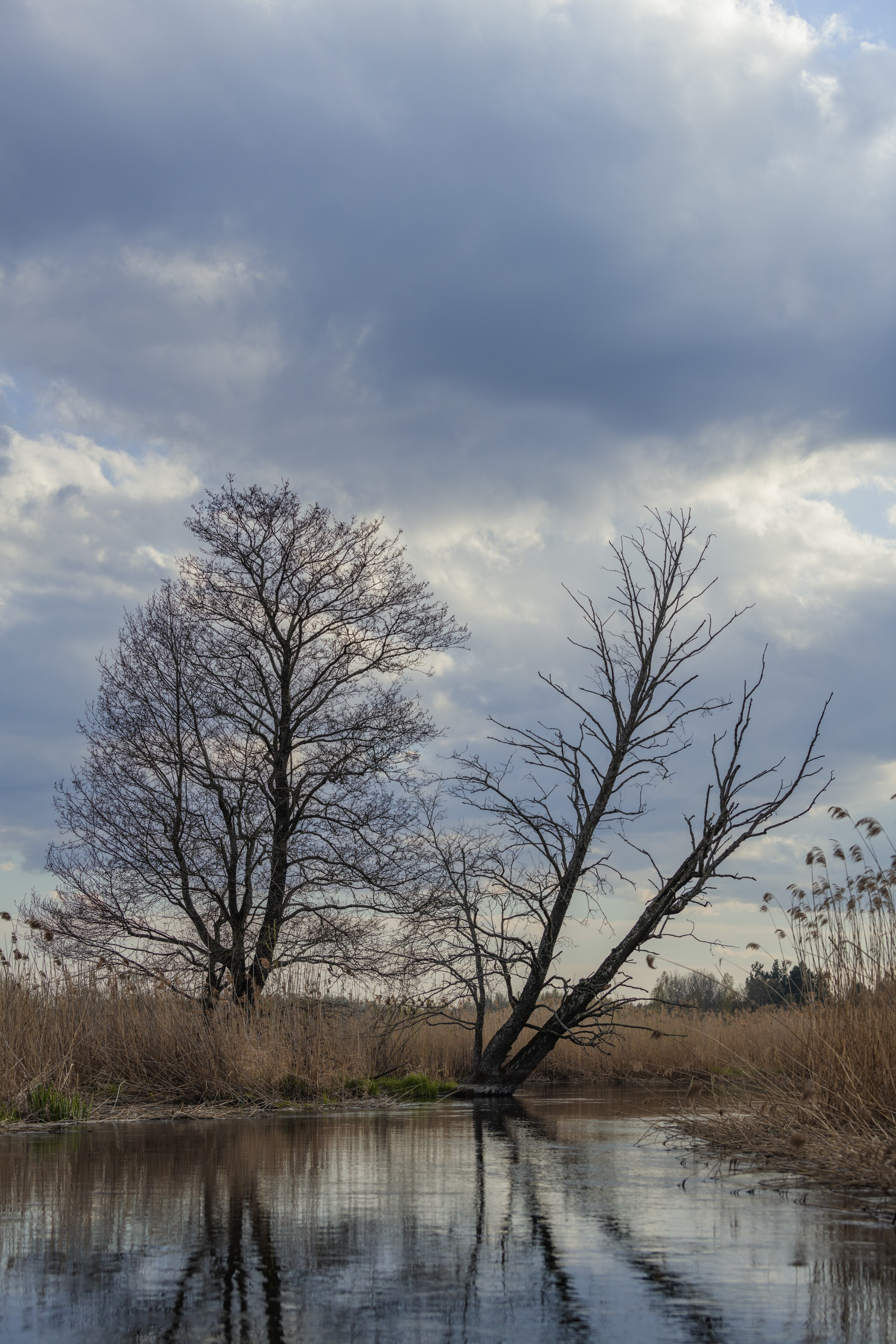 Водный поход 1-й кс по реке Случь. Репортажный фотограф Владимир Беляй
