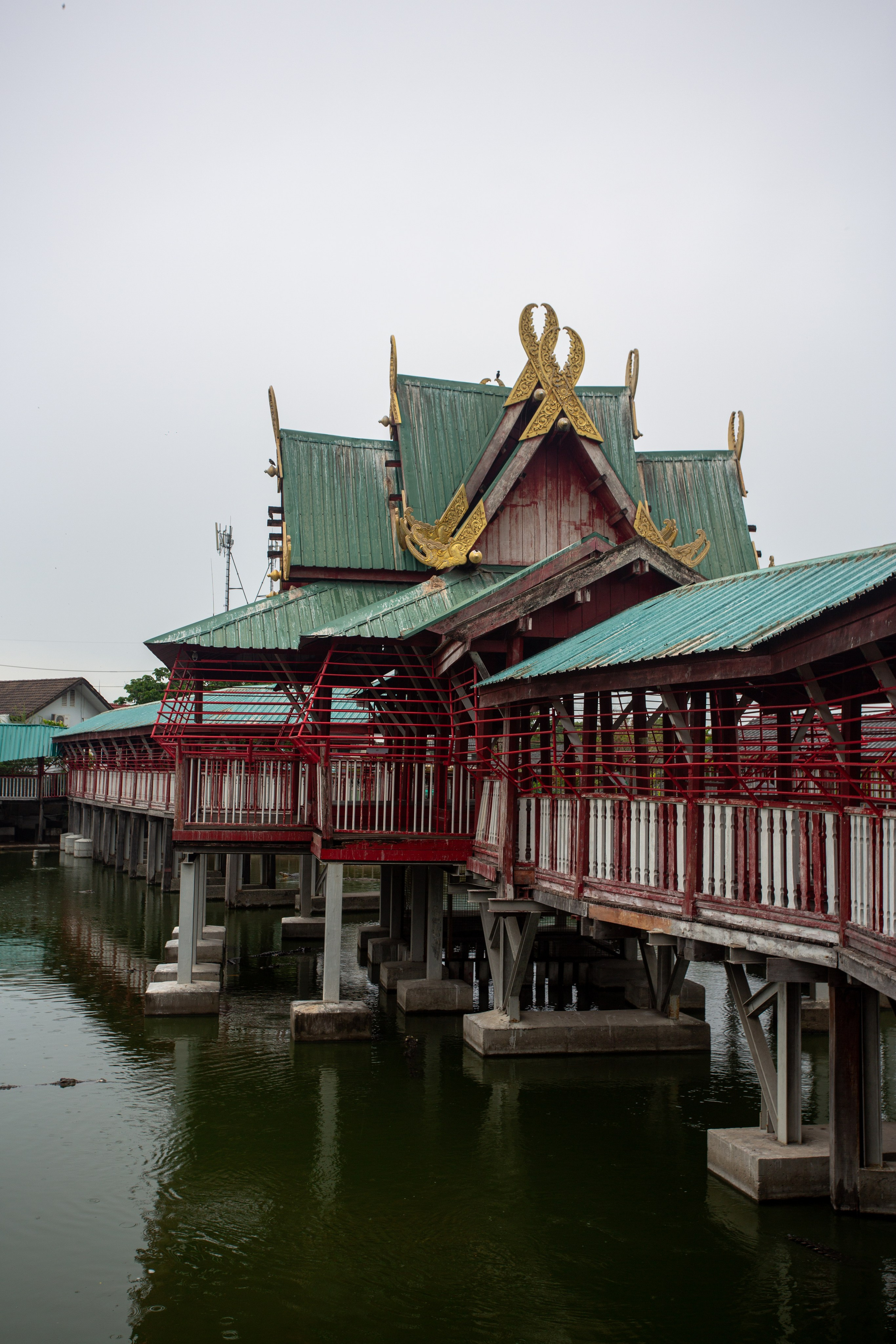 Samut Prakan Crocodile Farm & Zoo. Photographer Sonkina Tatiana (Tanya Ash)