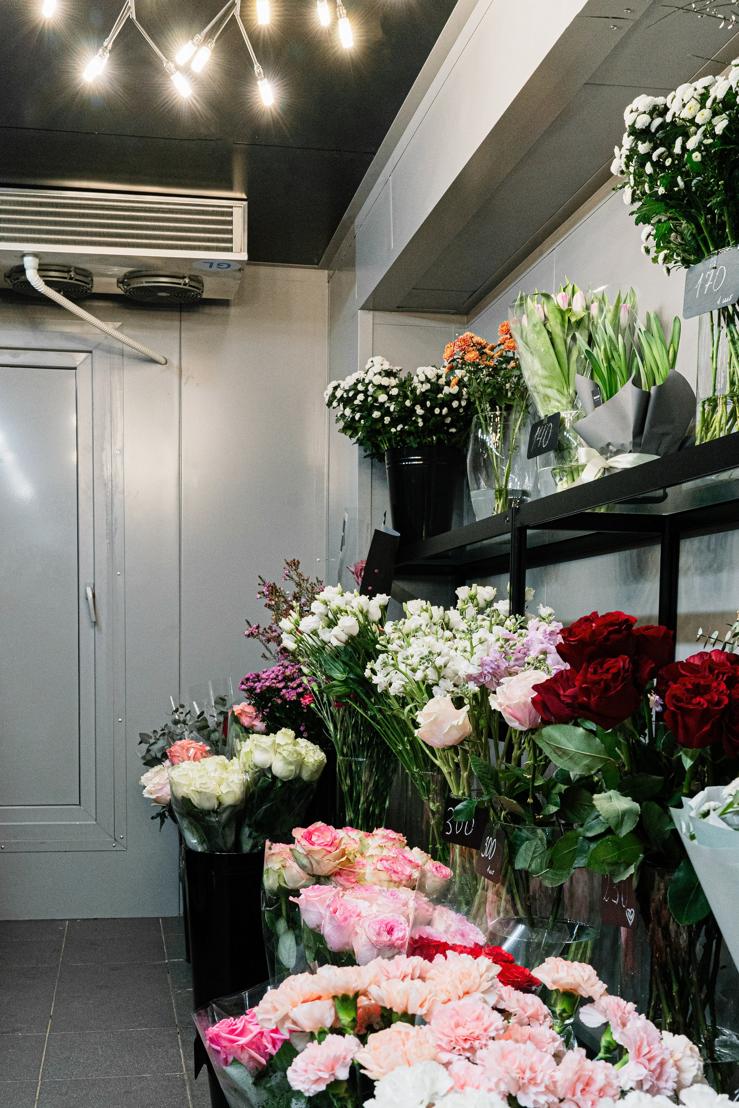 Регион холод. Елена Пашкевич, фотограф, Москва