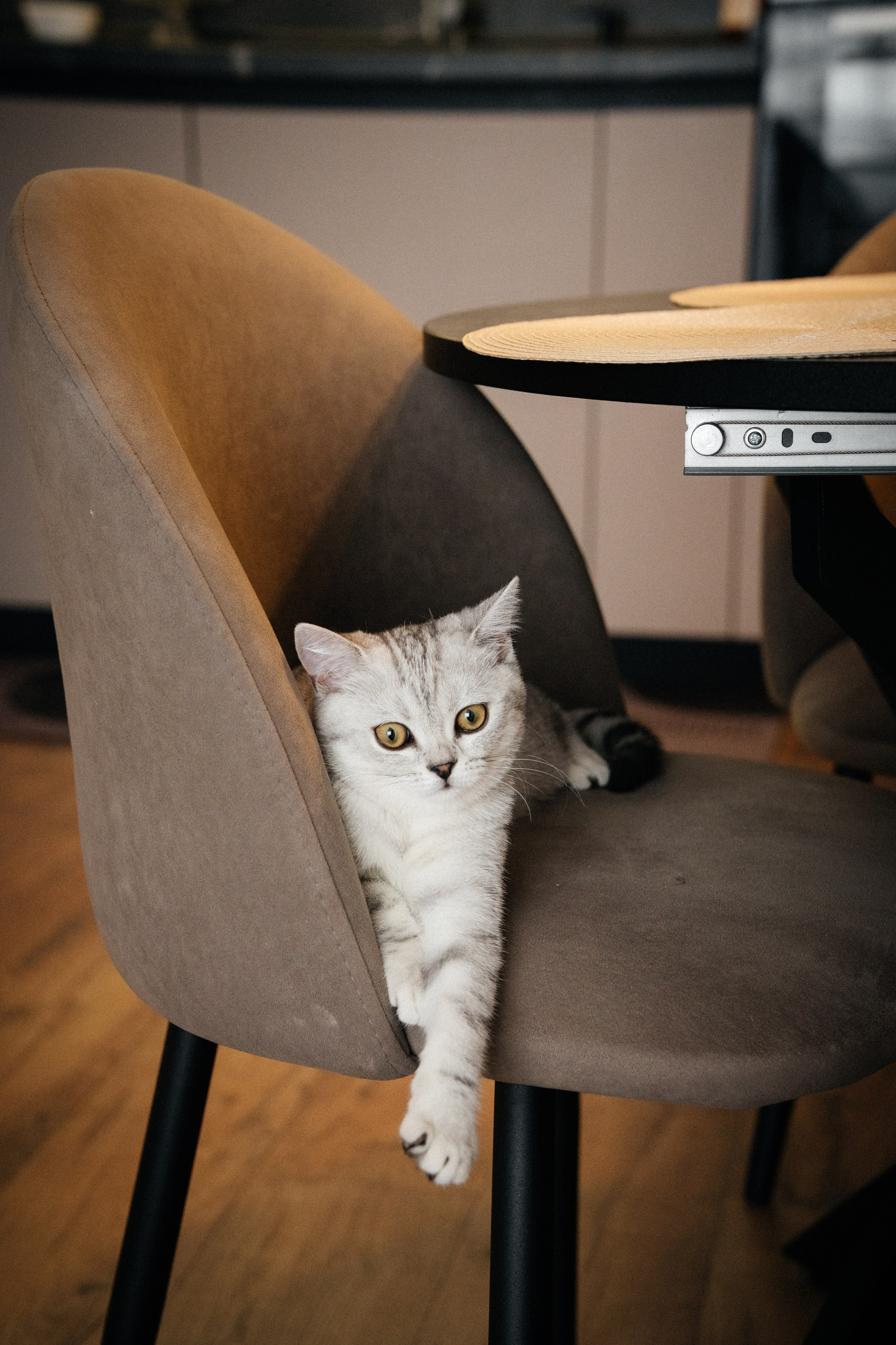 Семья Ксении и Максима. Фотограф | Юлия Арт| Обучение