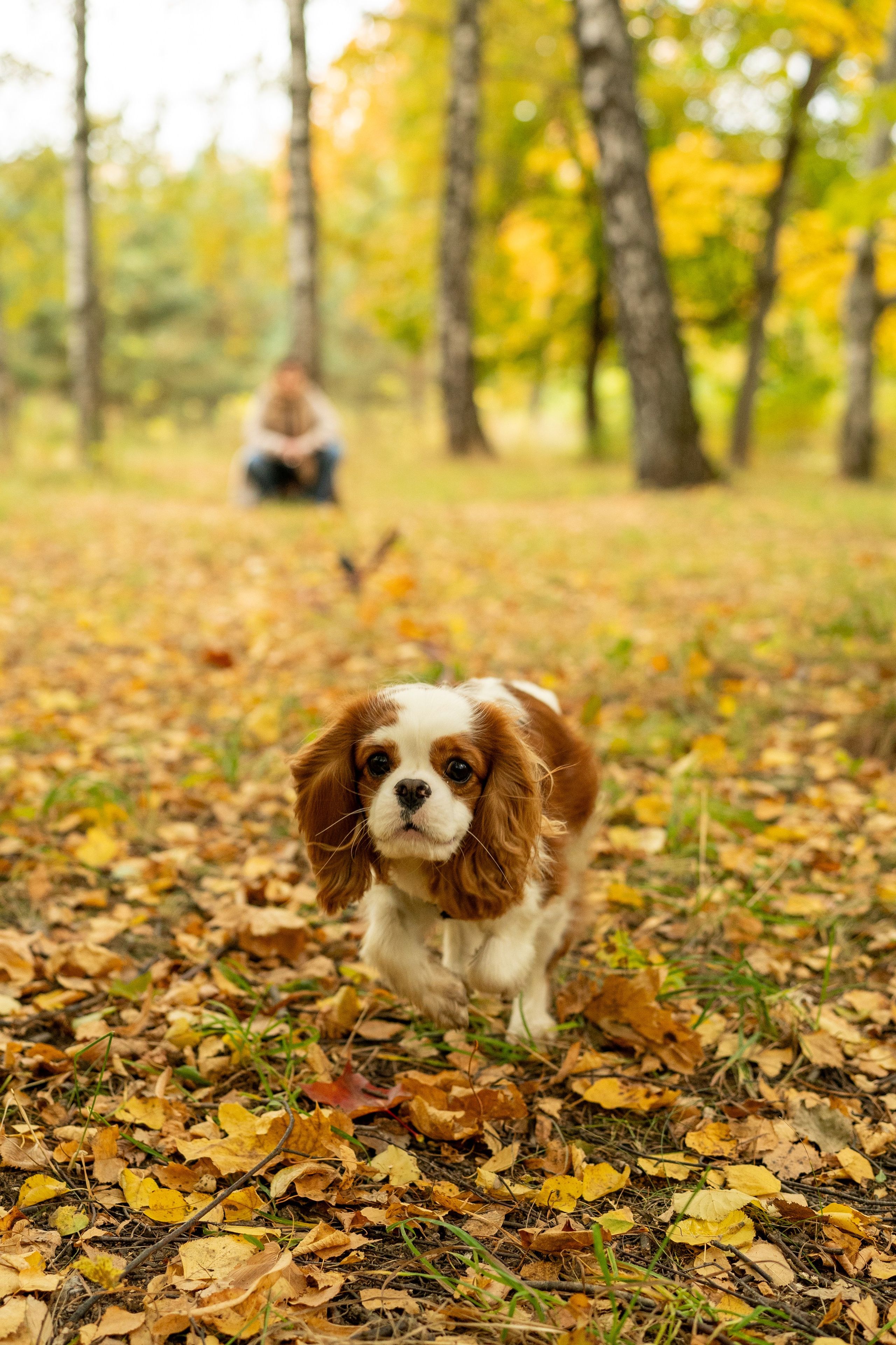 Портрет не в студии. Фотосессия портрет, ню, будуар, стрит фотограф Москва Юлия Кафизова