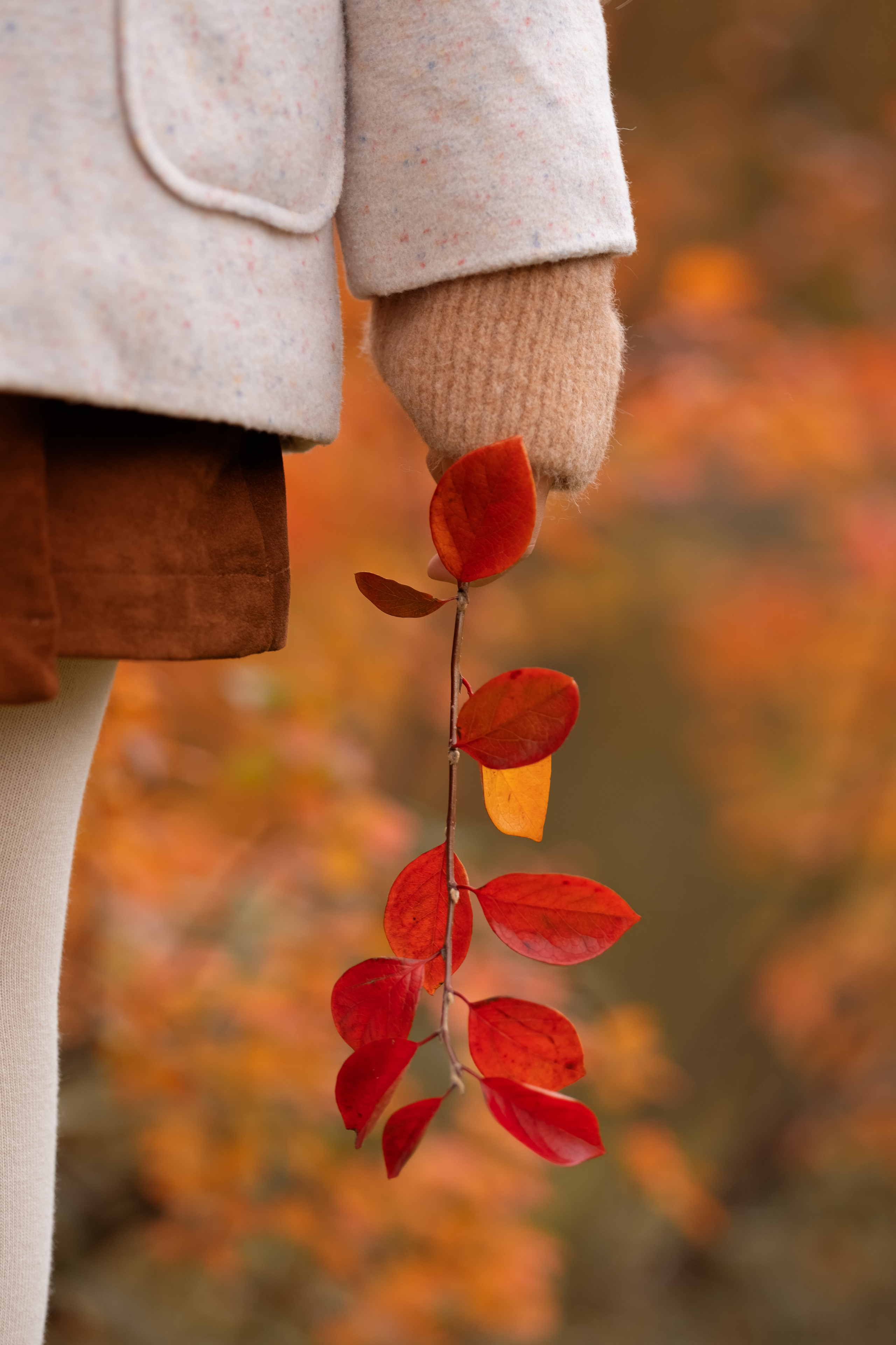 Прогулка в парке. Семейный и детский фотограф в Мелитополе /Наталья Зацеркляная