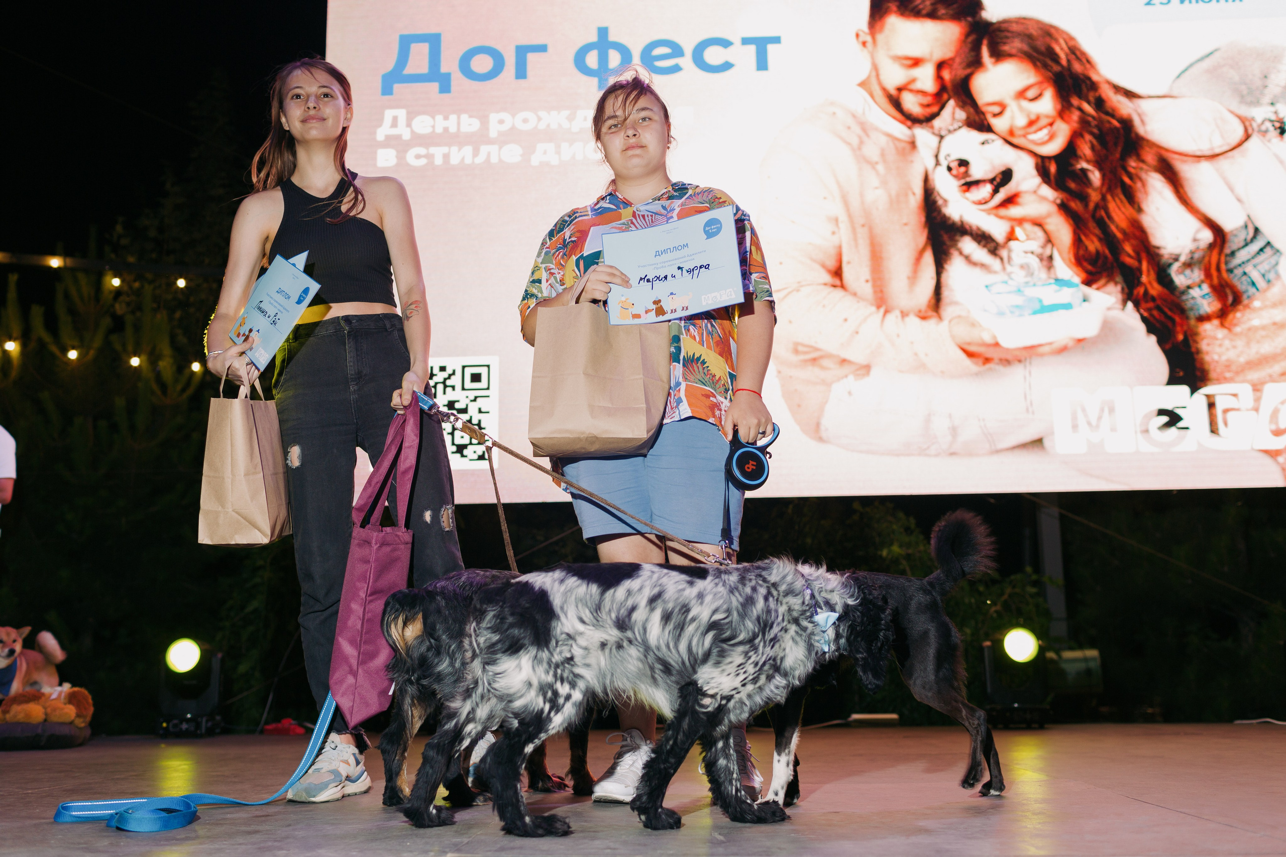 Dog Fest 2024. Главная