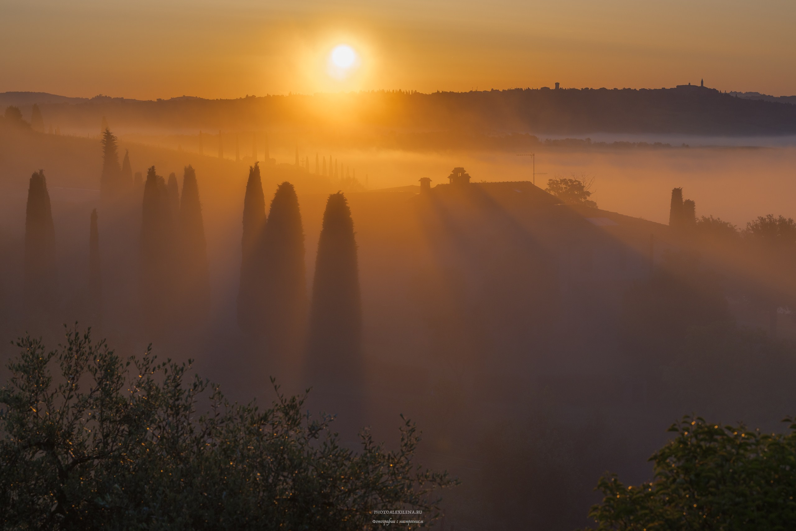 Великолепная Тоскана. Авторские стильные фотокартины