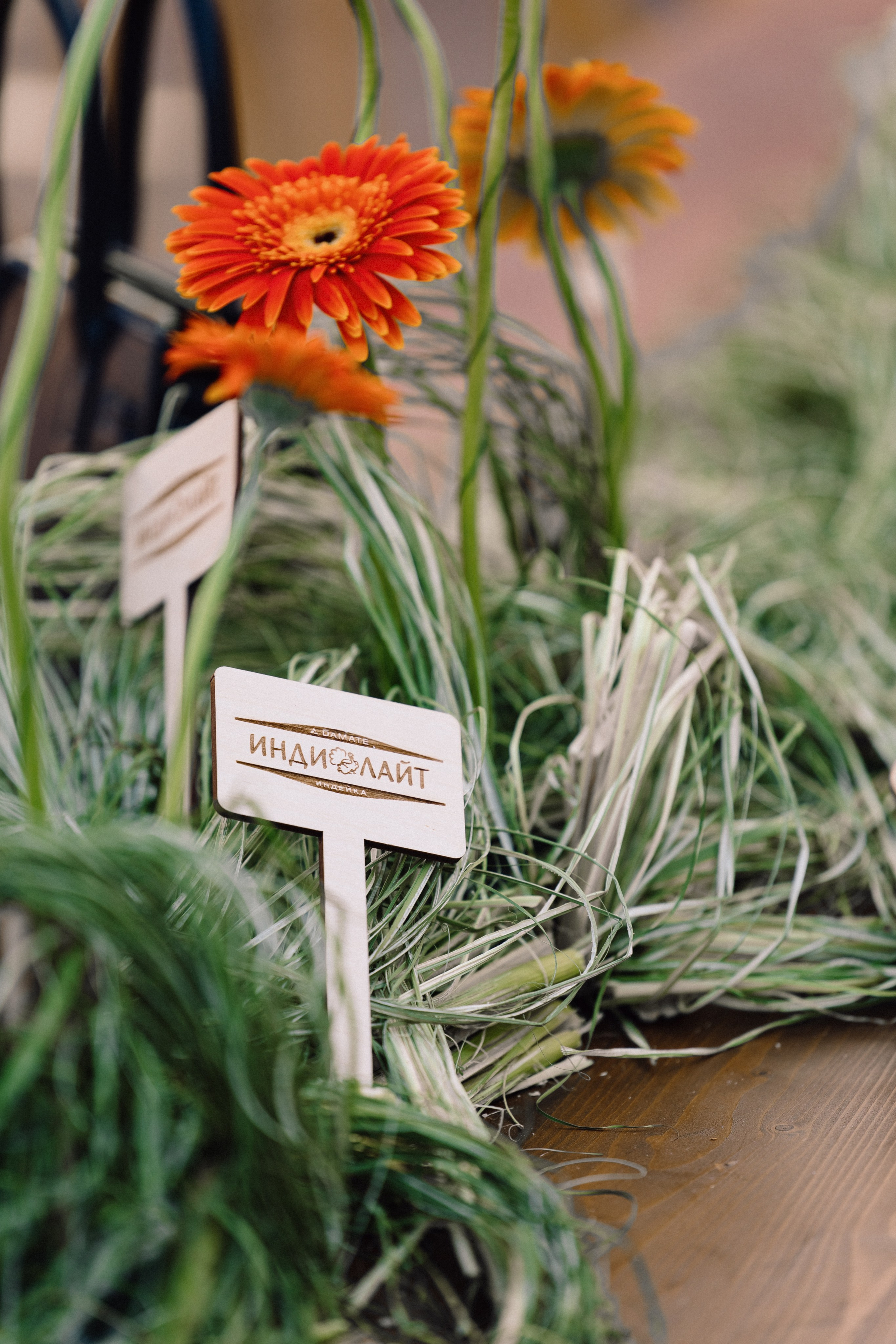 ЧТИВО/ФЕСТ. Костя Жуков — фотограф в Москве