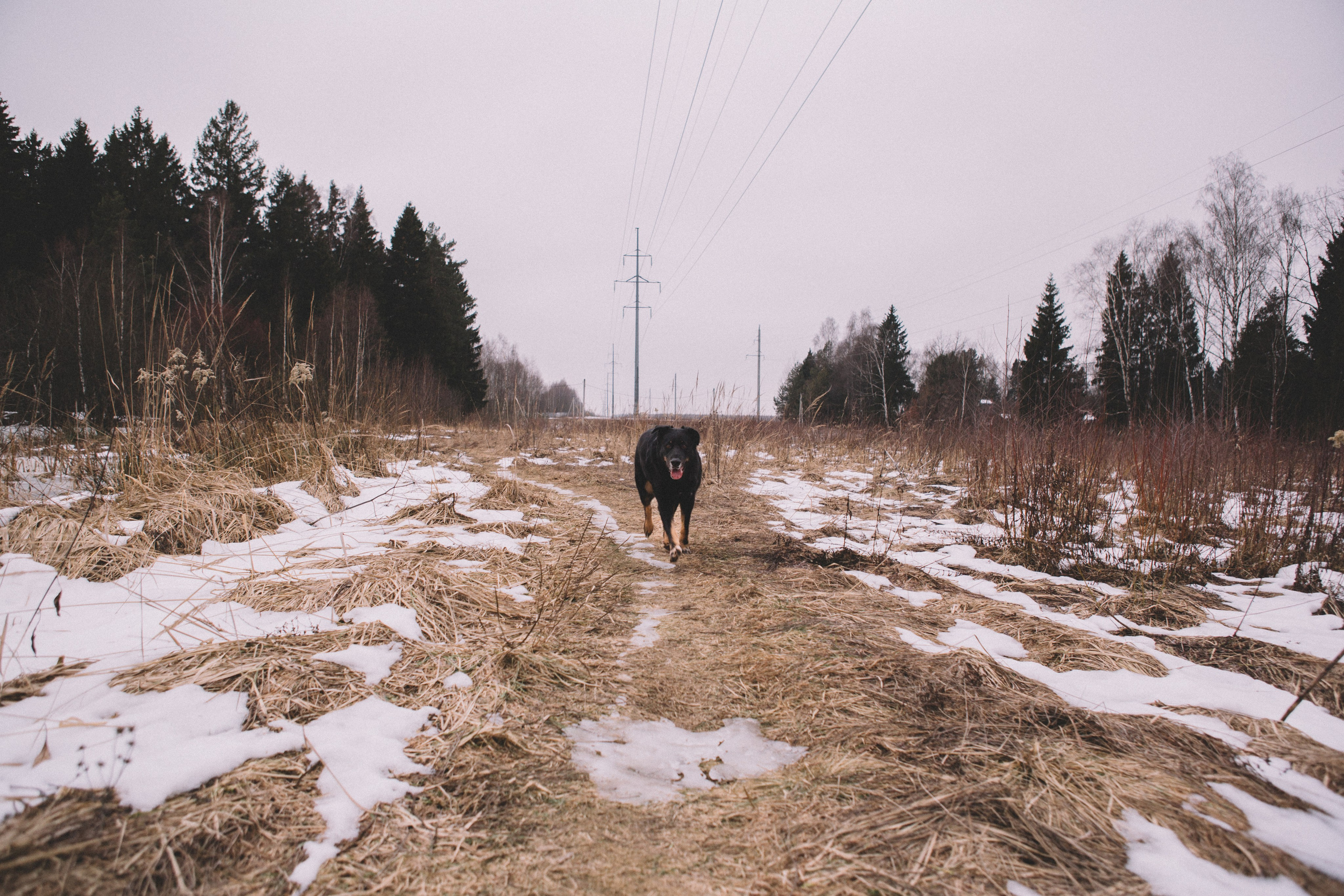 Alyona & Felix. Portrait, family and pet photographer in Cyprus, Ksenia Bourdelle