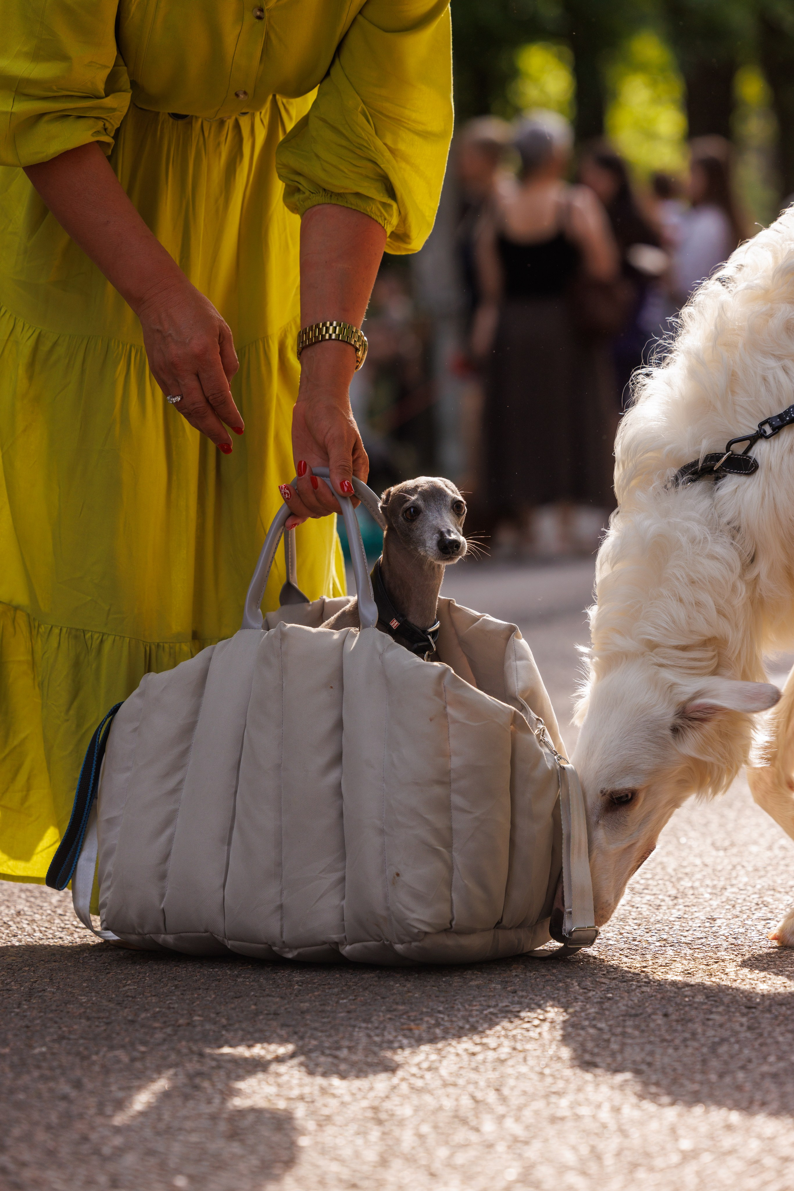 PetShopDays2026. Фотограф Александр Заломаев