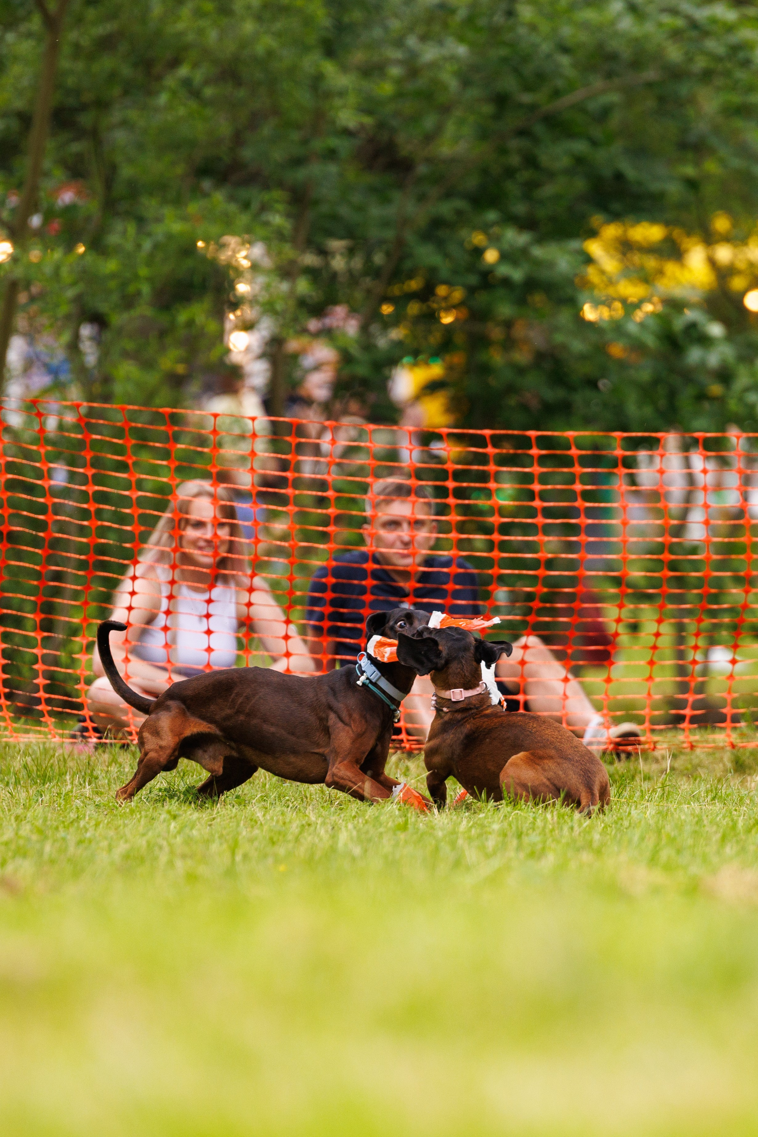 PetShopDays2026. Фотограф Александр Заломаев