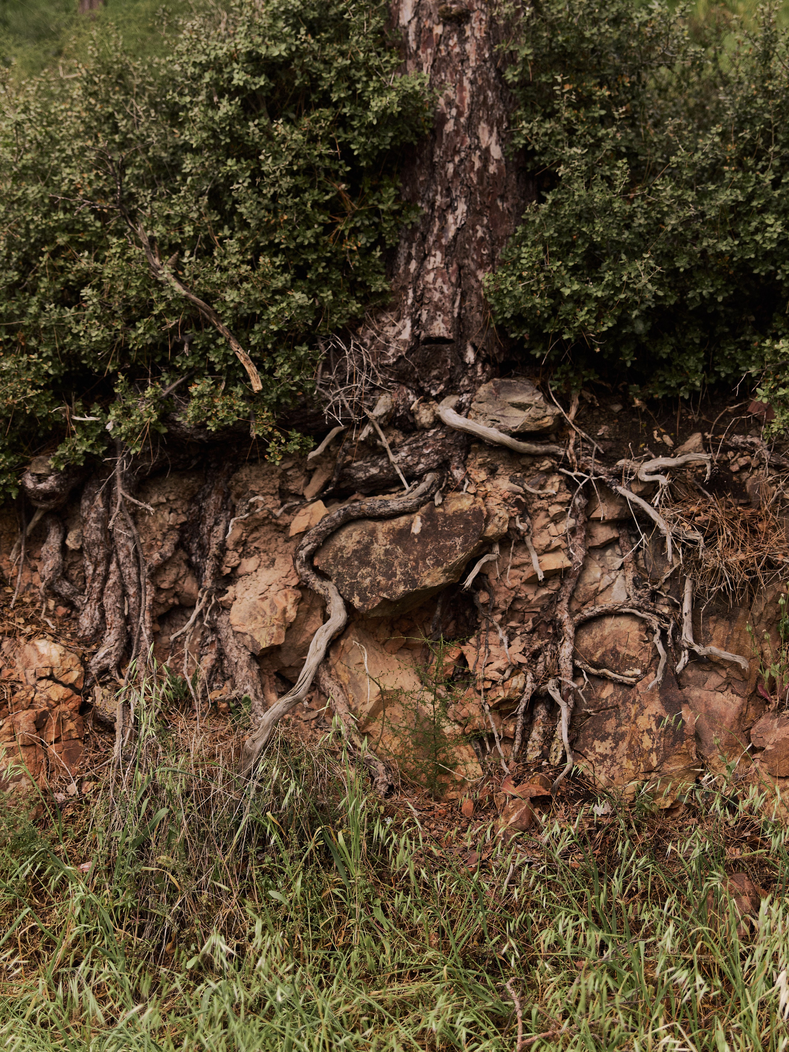 Природа. Jorgis Talè — photographer, kind person, teacher of arts and other mag