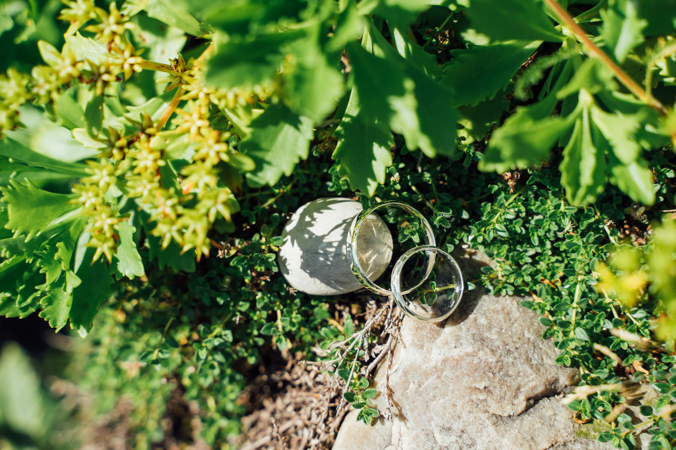 Дмитрий и Елизавета — свадебный день 25.07.2025. Свадебный фотограф в Коломне, Воскресенске, Егорьевске Владимир Петров