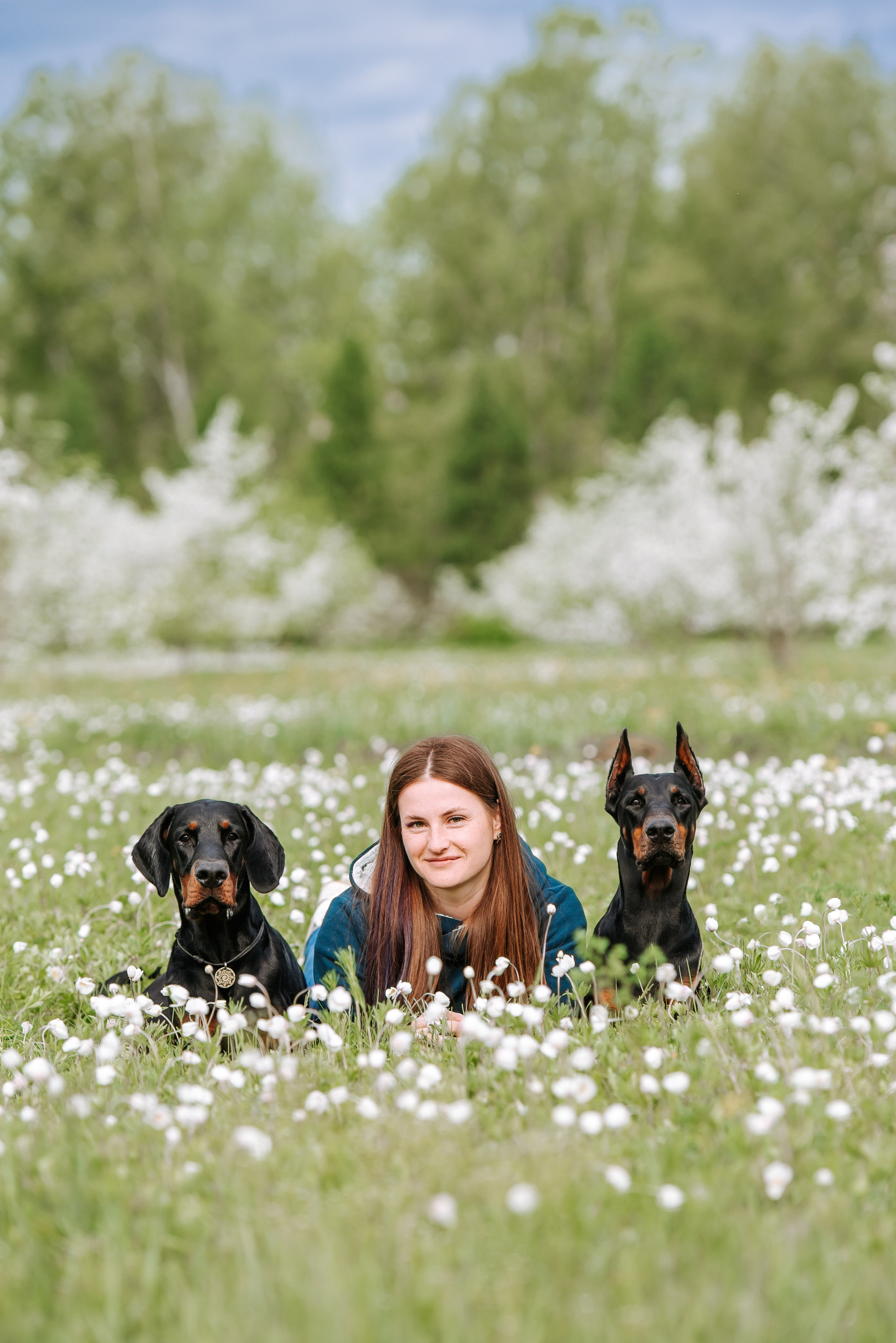 Цветение с доберманами. Фотограф Диана Оленина Красноярск / Братск