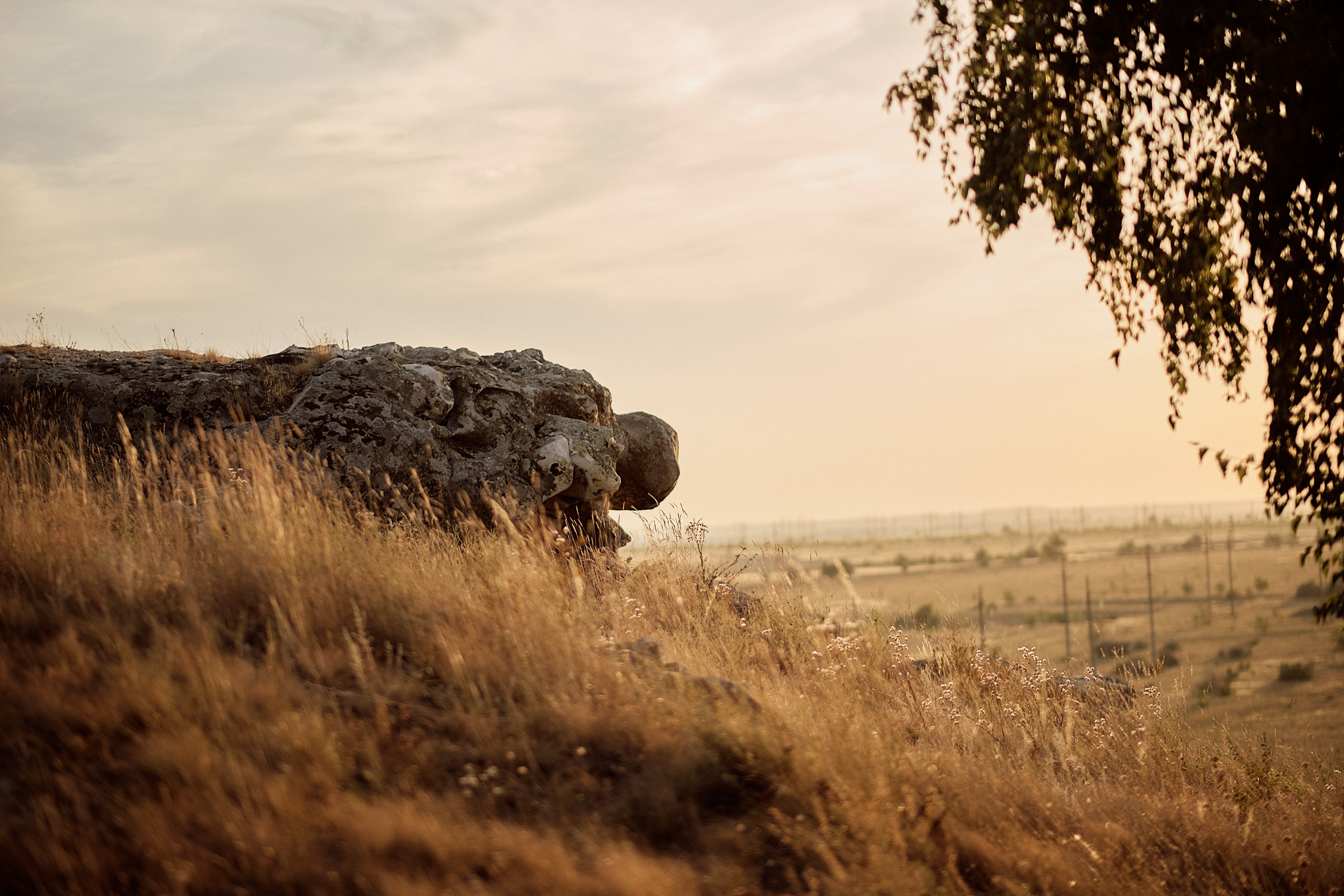 Свадьба Антон Вика. Свадебный и семейный фотограф в г. Камышин