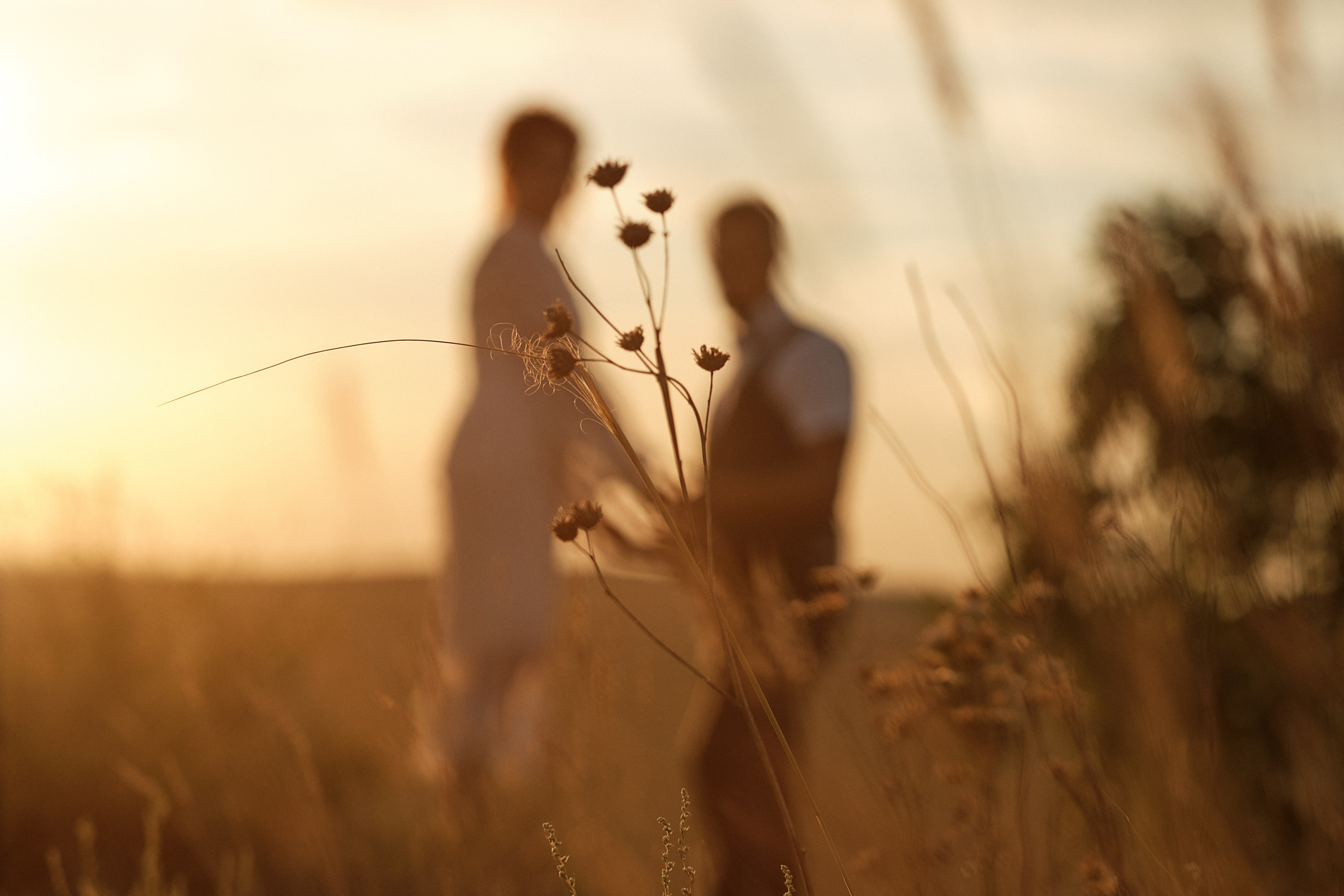 Свадьба Антон Вика. Свадебный и семейный фотограф в г. Камышин