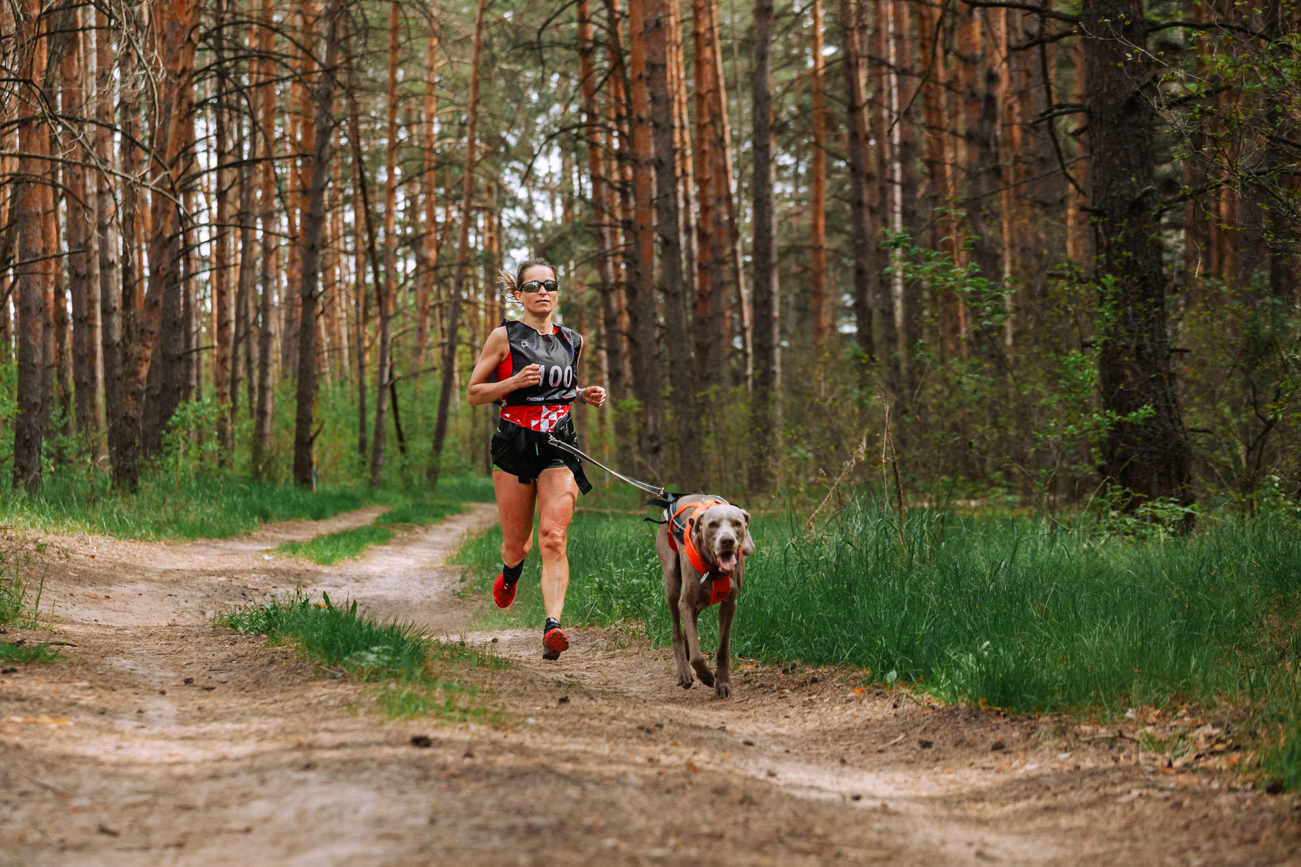 Русский экстрим кросс в Рязанской области 17.05.2025. Фотограф-анималист Татьяна Степанова