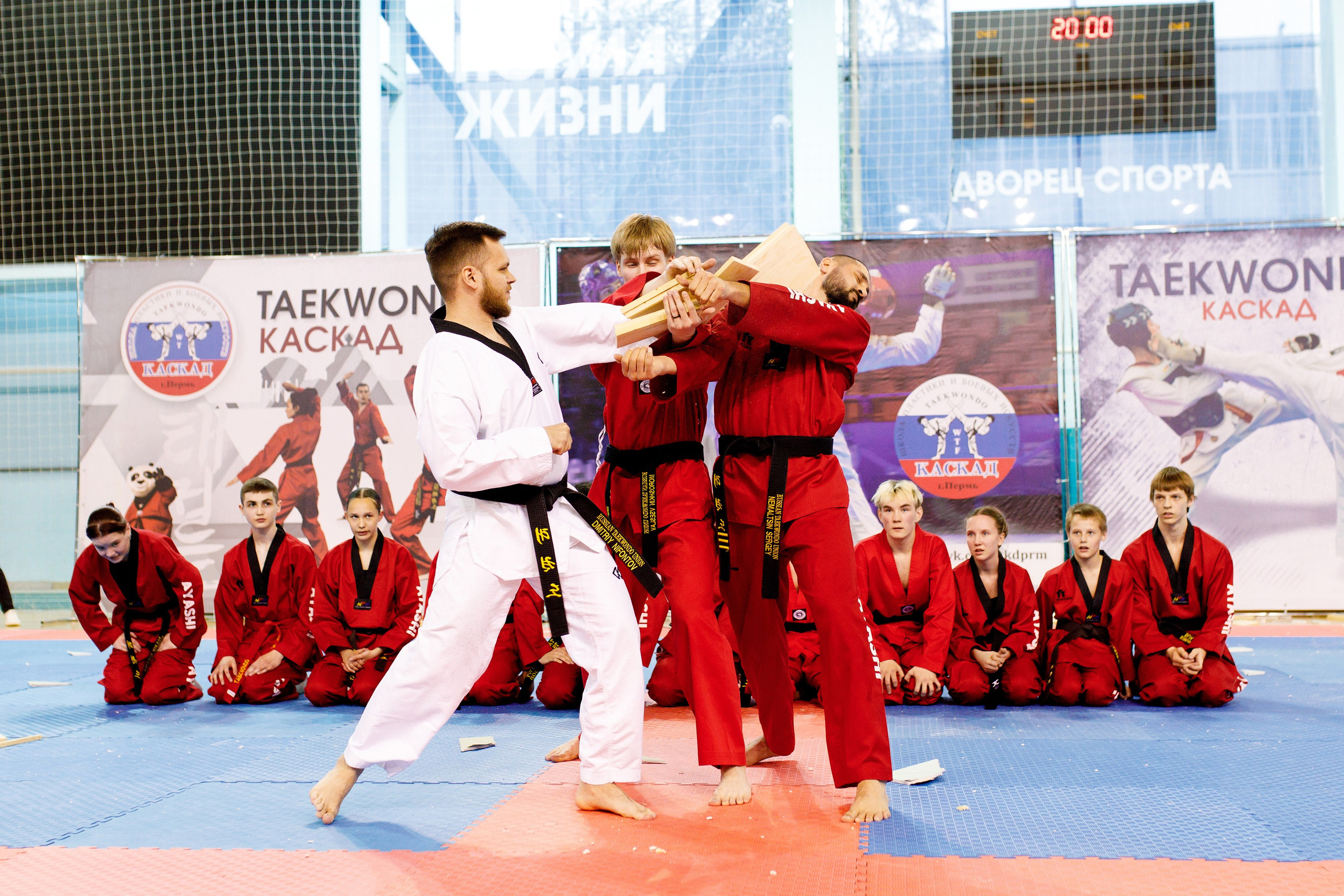 Тхэквондо СК «Каскад». Фотограф Дмитрий Молчанов | Фотограф Пермь | Фотограф
