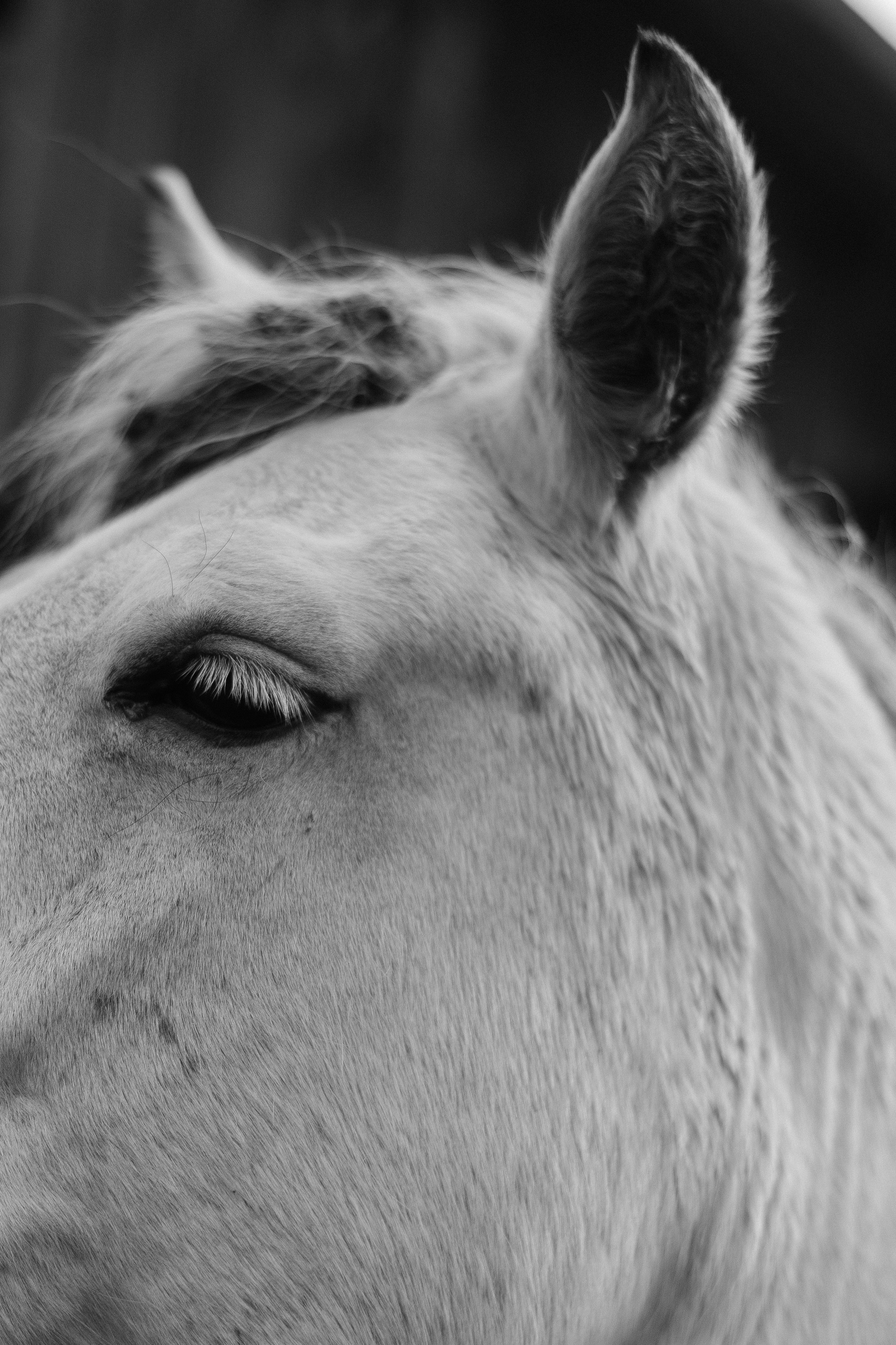 Саша и Матвей. Главная