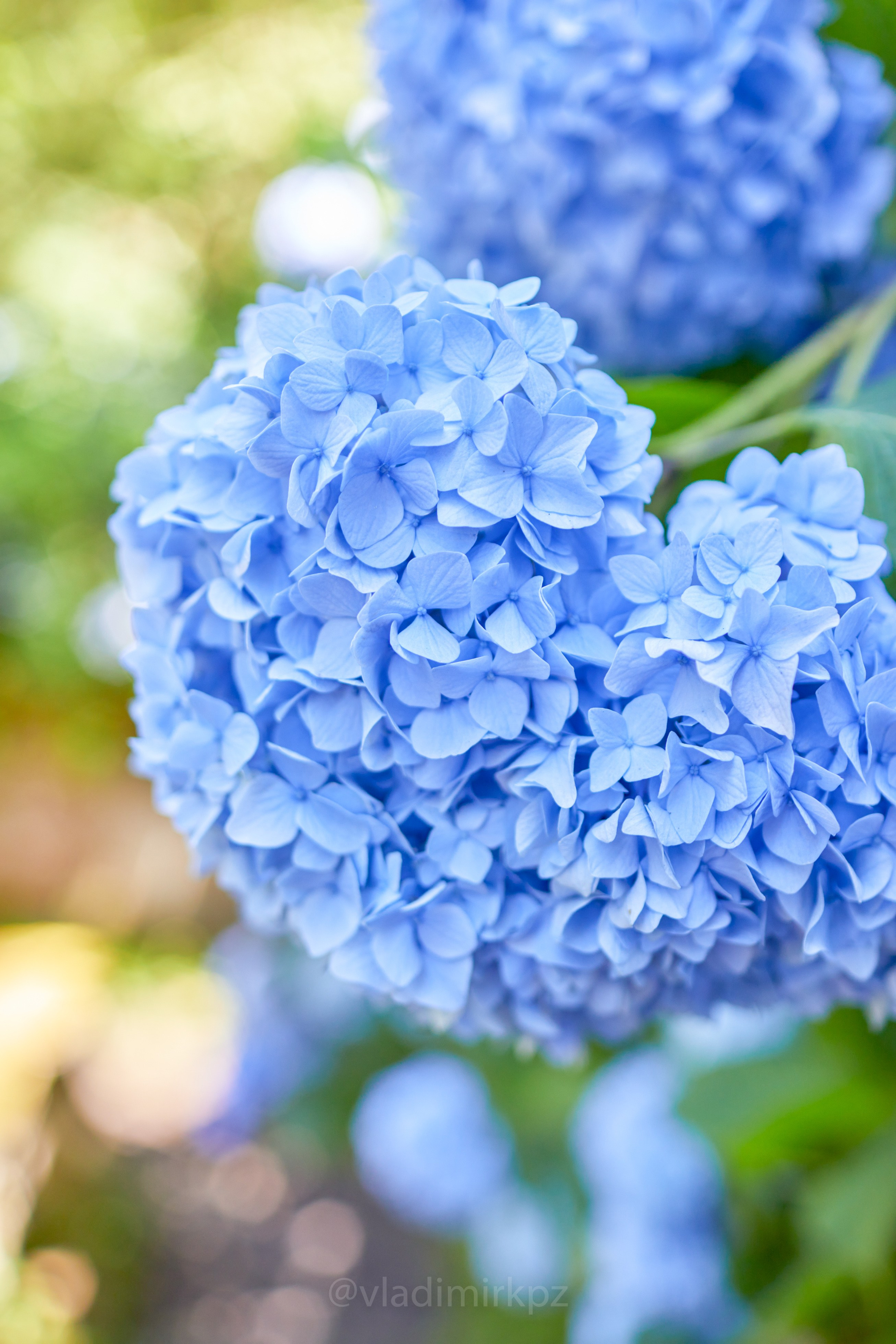 Пртретная фотосъемка в абхазии. Фотограф Абхазия