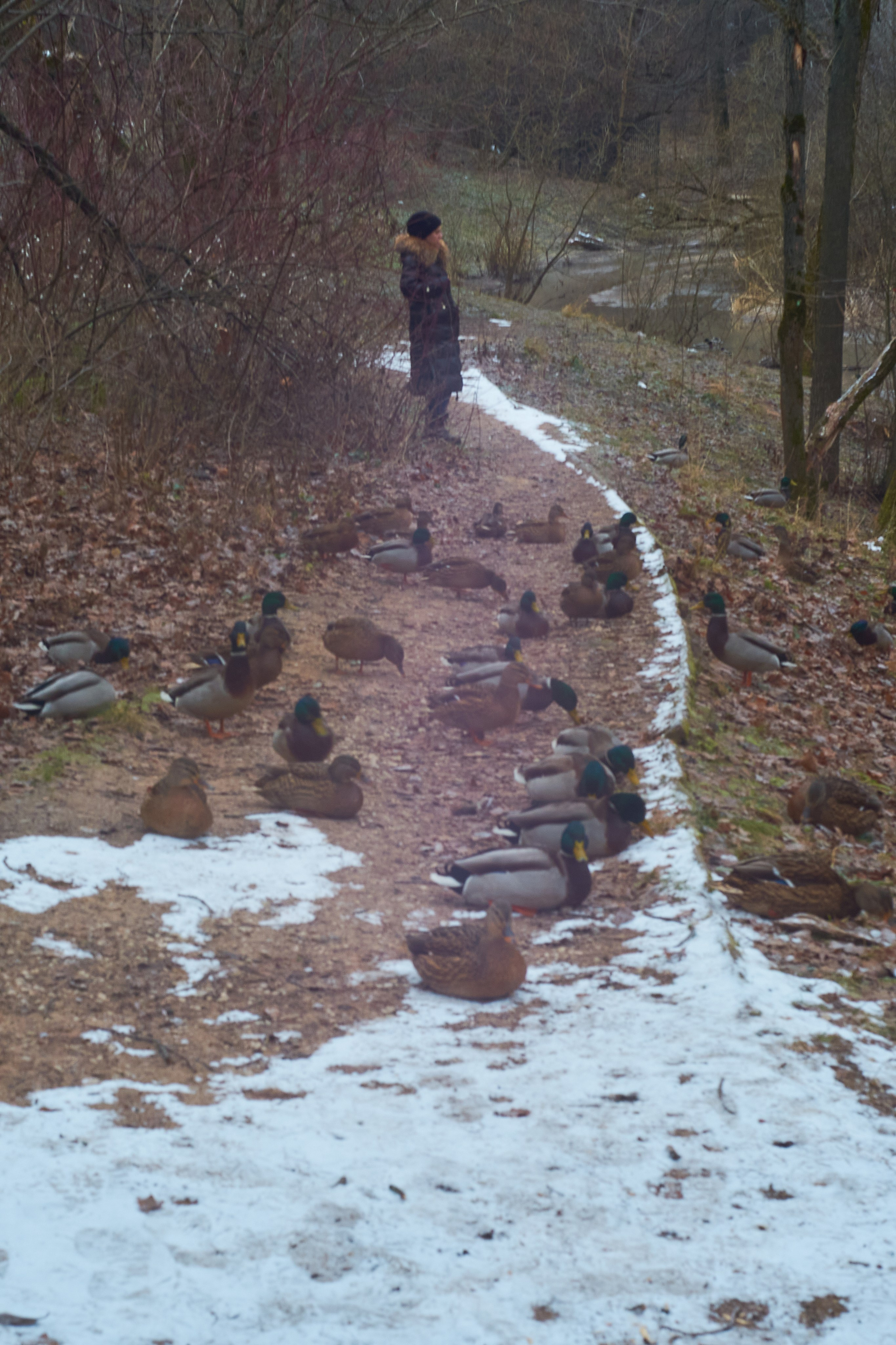Помоги своим друзьям!. Сайт фотографа Виталия Дени