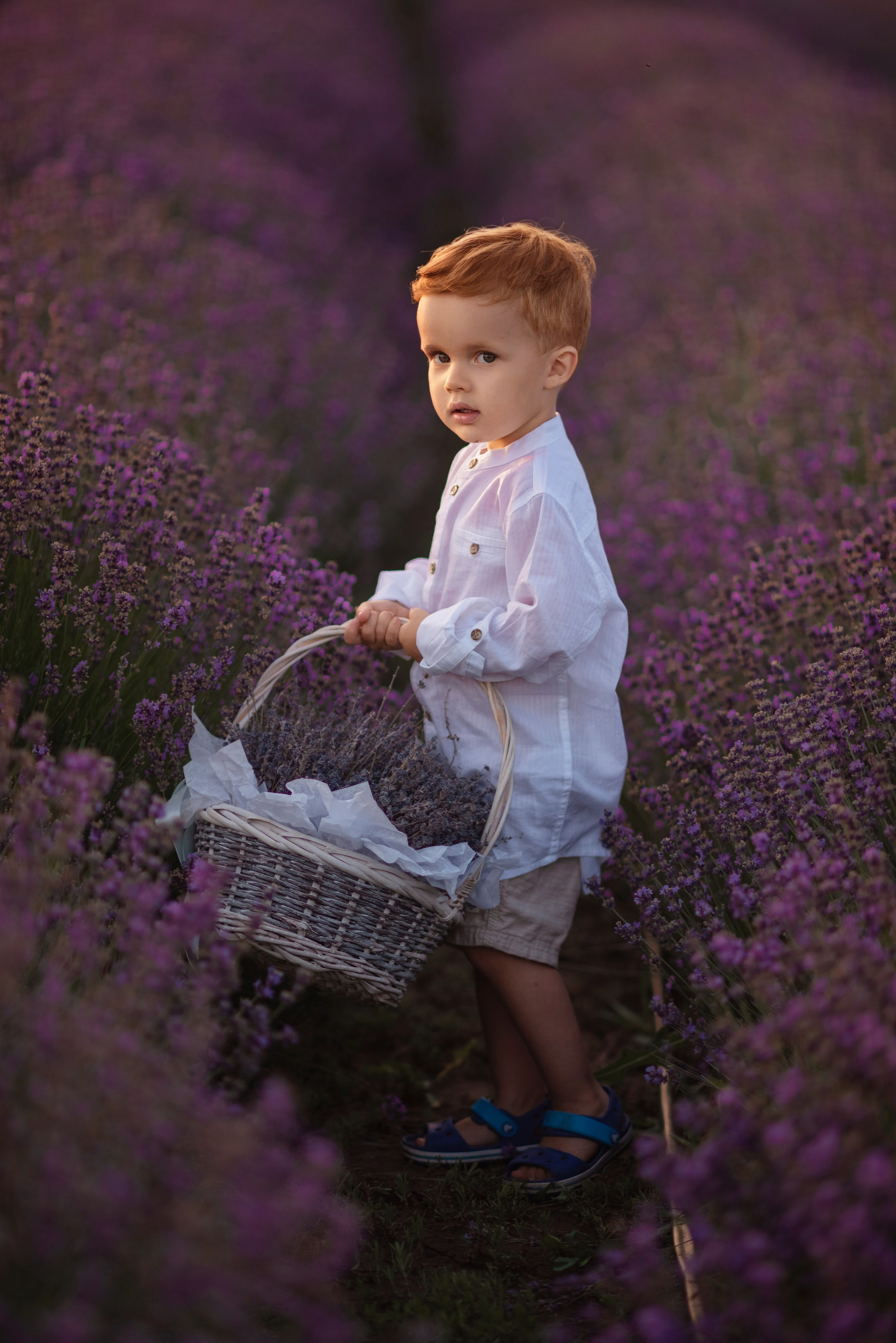 Лаванда. Семейный, детский и женский фотограф в Ростове-на-Дону Кирилина Екатерина
