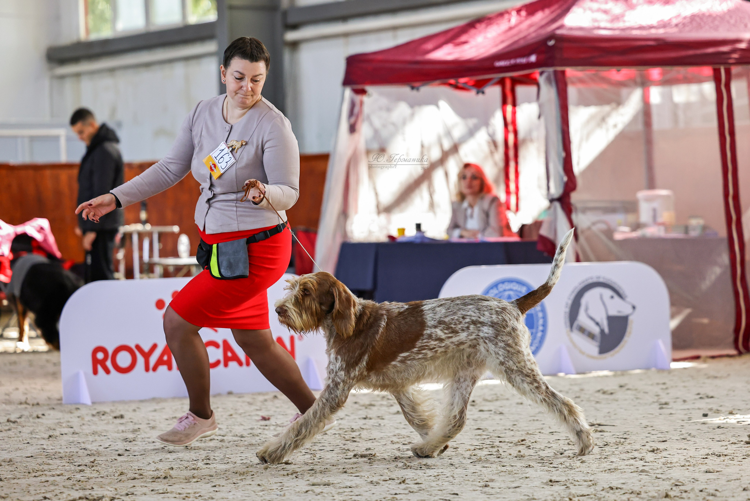 Астана 2хCACIB 26-28.09.2025. Фотограф-анималист Юлия Германика