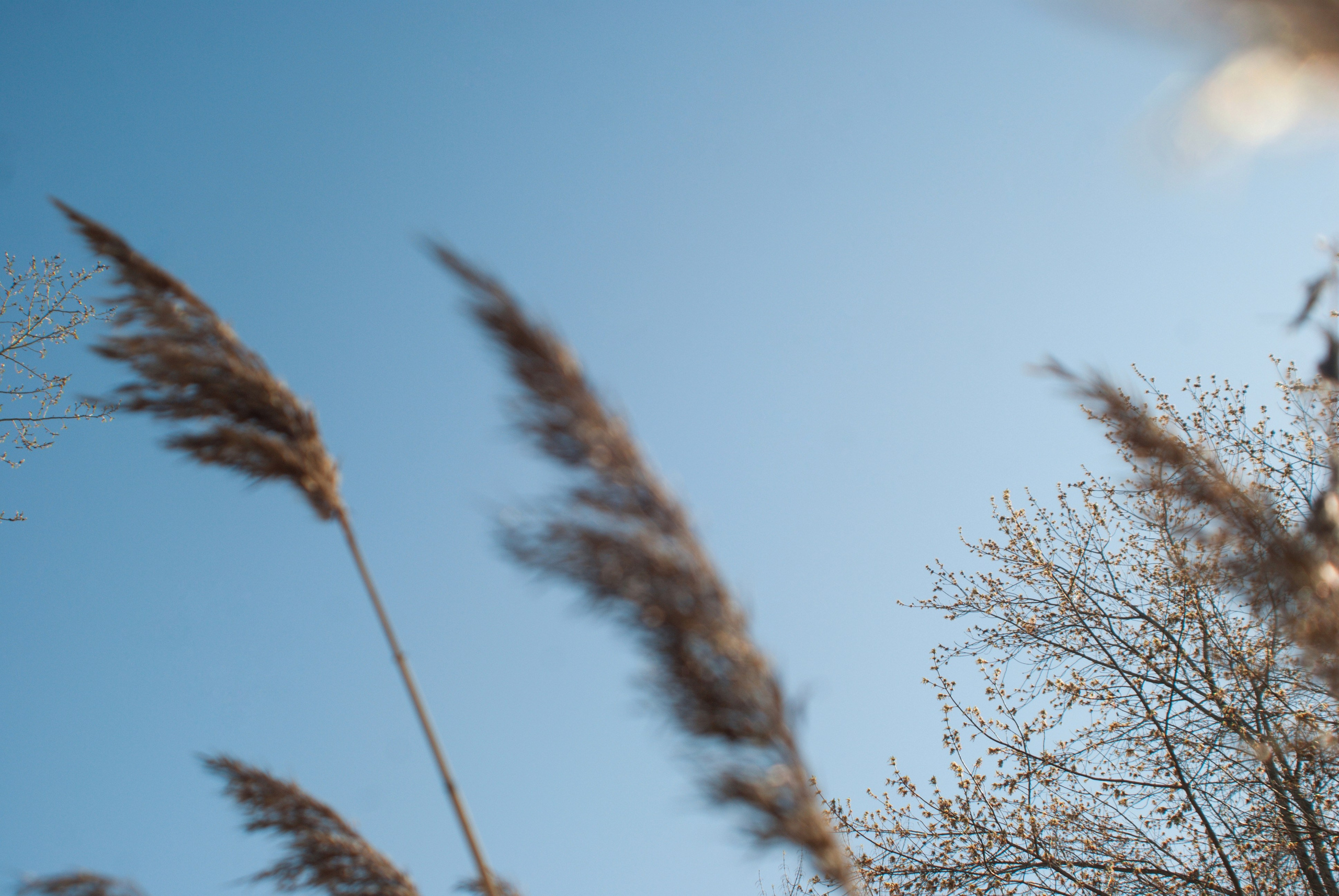 Этот прекрасный мир