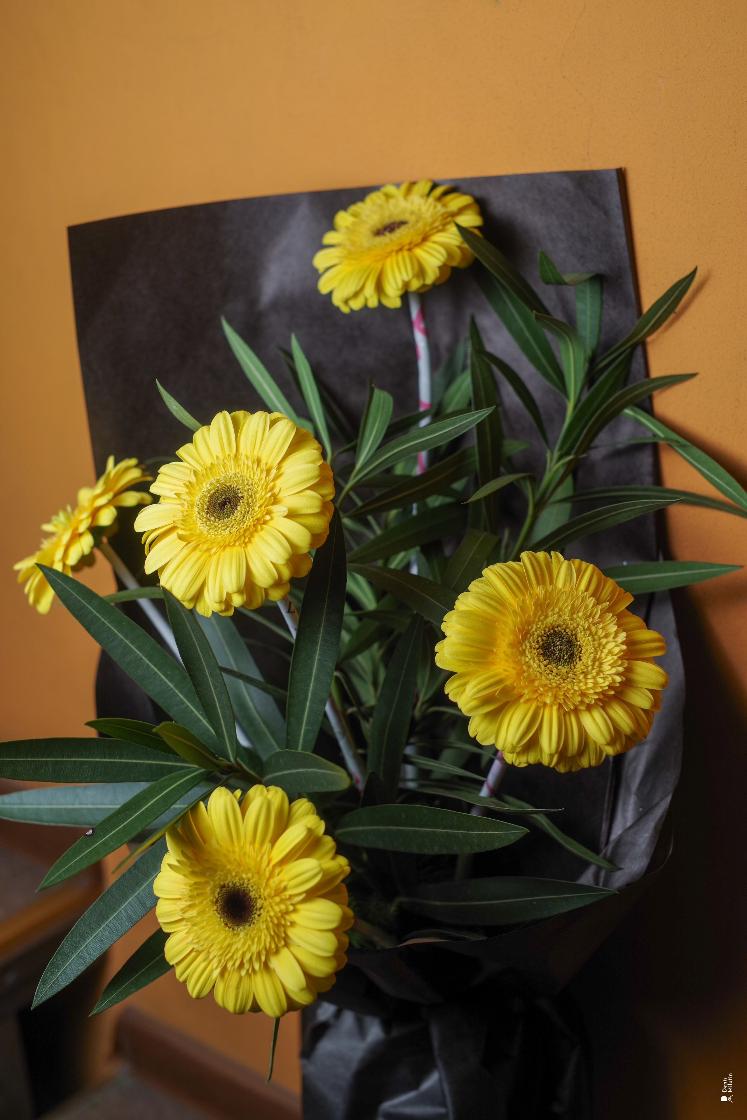 Салон цветов. Портретный фотограф Денис Милютин