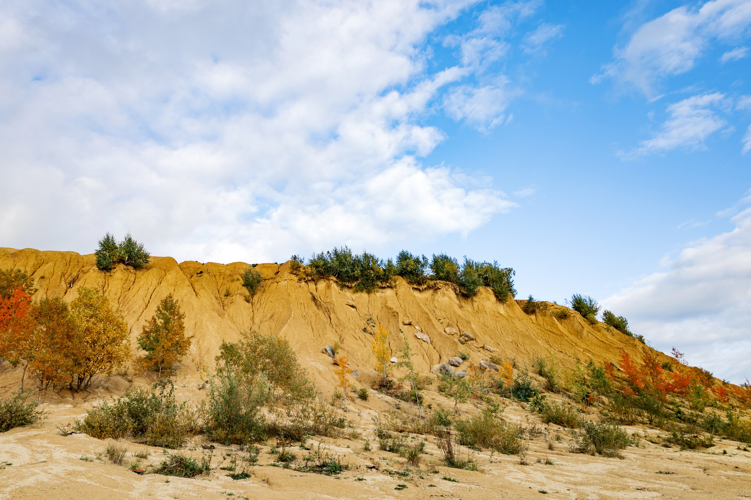Природа, пейзажи. Гергерт Ксения фотограф в Санкт-Петербурге