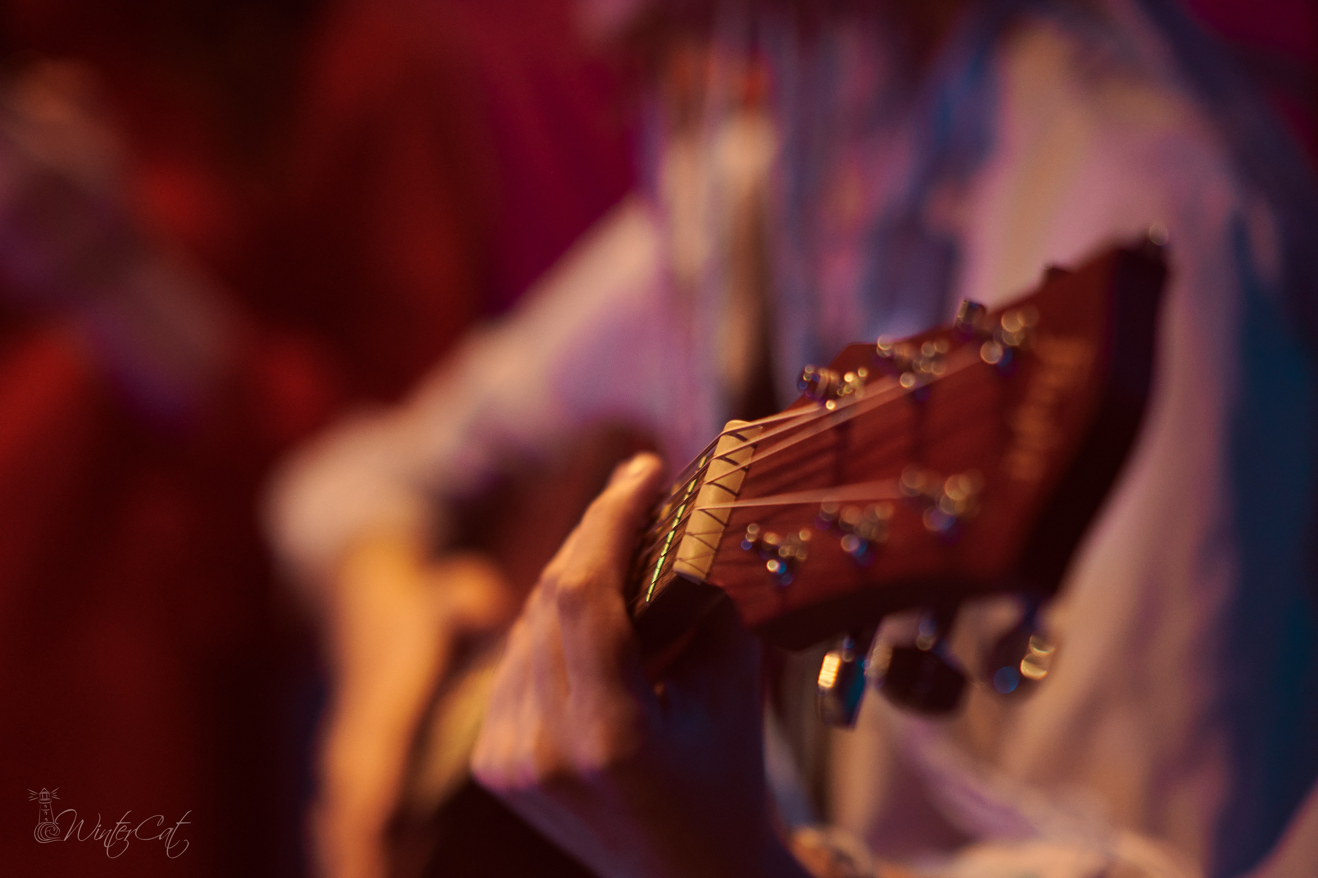 Фестиваль Крик (музей). Портретный и репортажный фотограф в Магадане Андрей Нефедов WinterCatPhoto