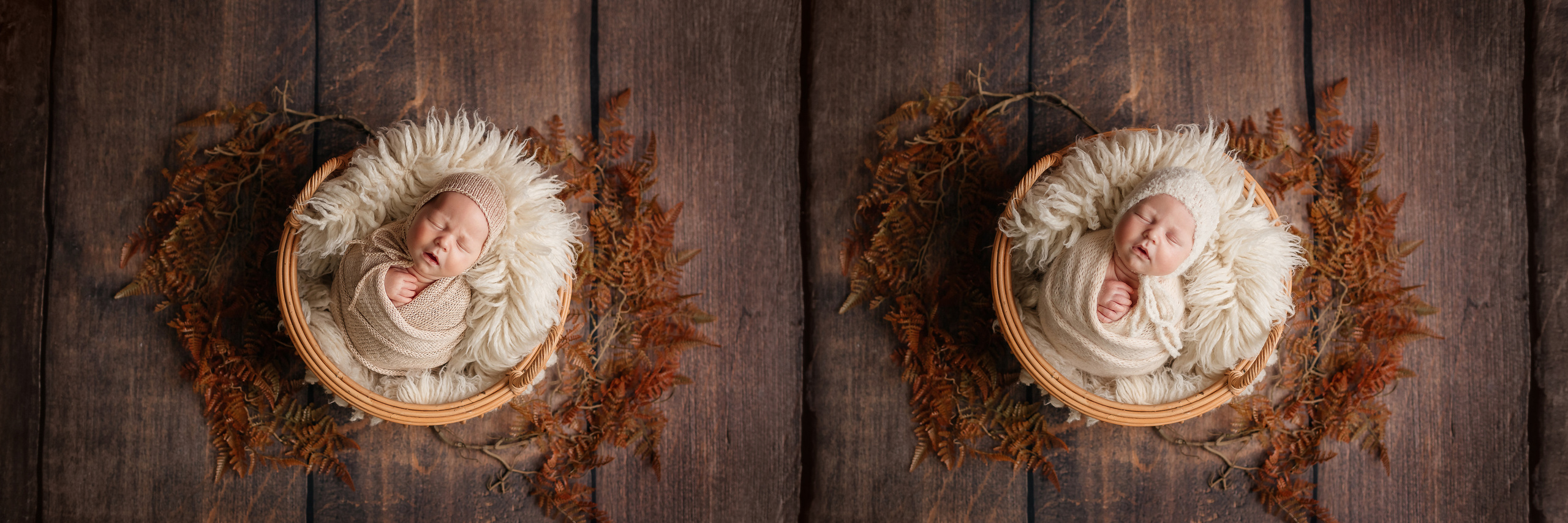 Миша и Гриша 28 дней (съемка в студии). Детский, семейный и фотограф новорождённых в Ярославле Анна Салова