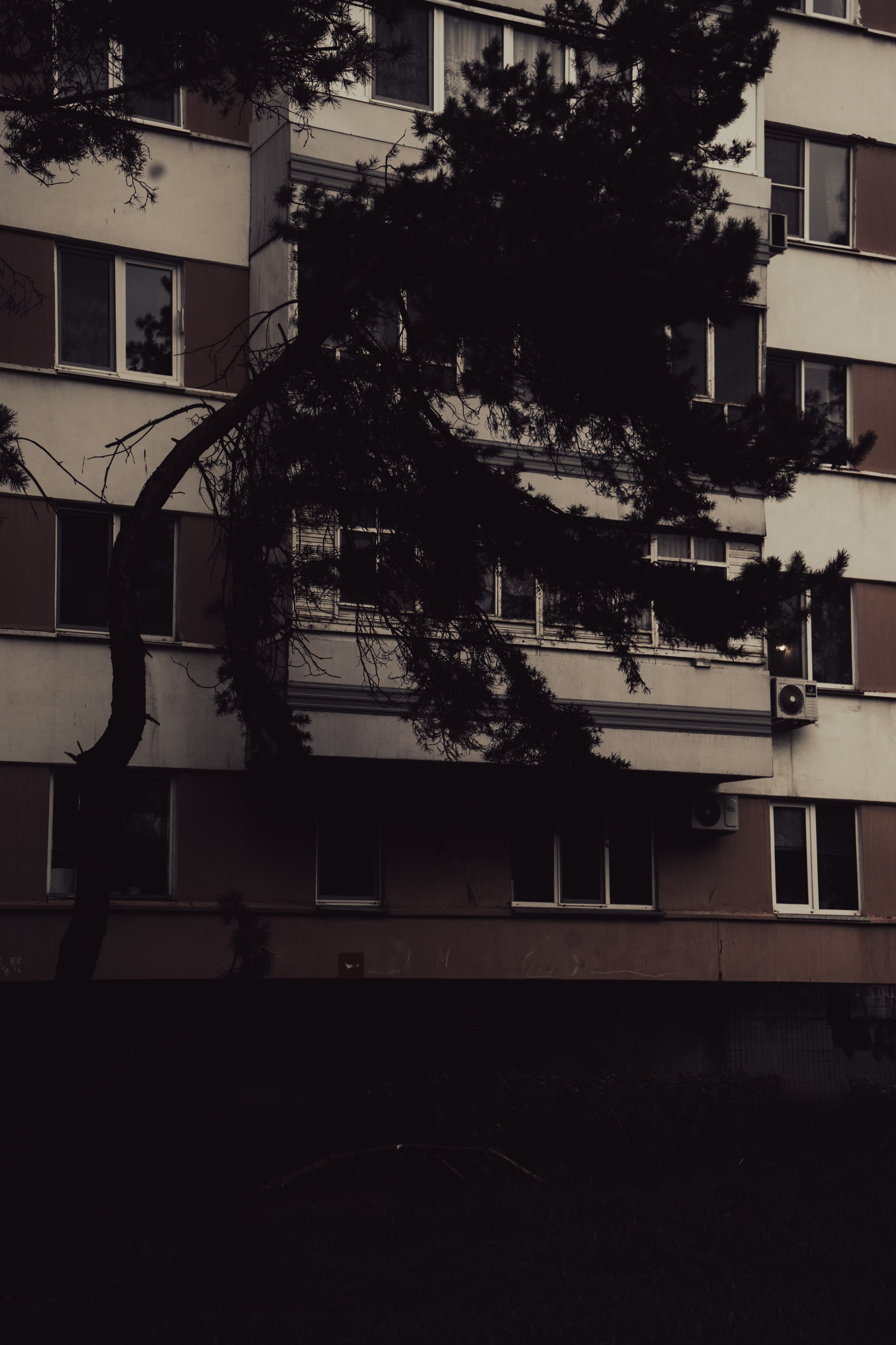 Стрит — фотография в Санкт-Петербурге. Портретный фотограф в Санкт-Петербурге Дори Милиева