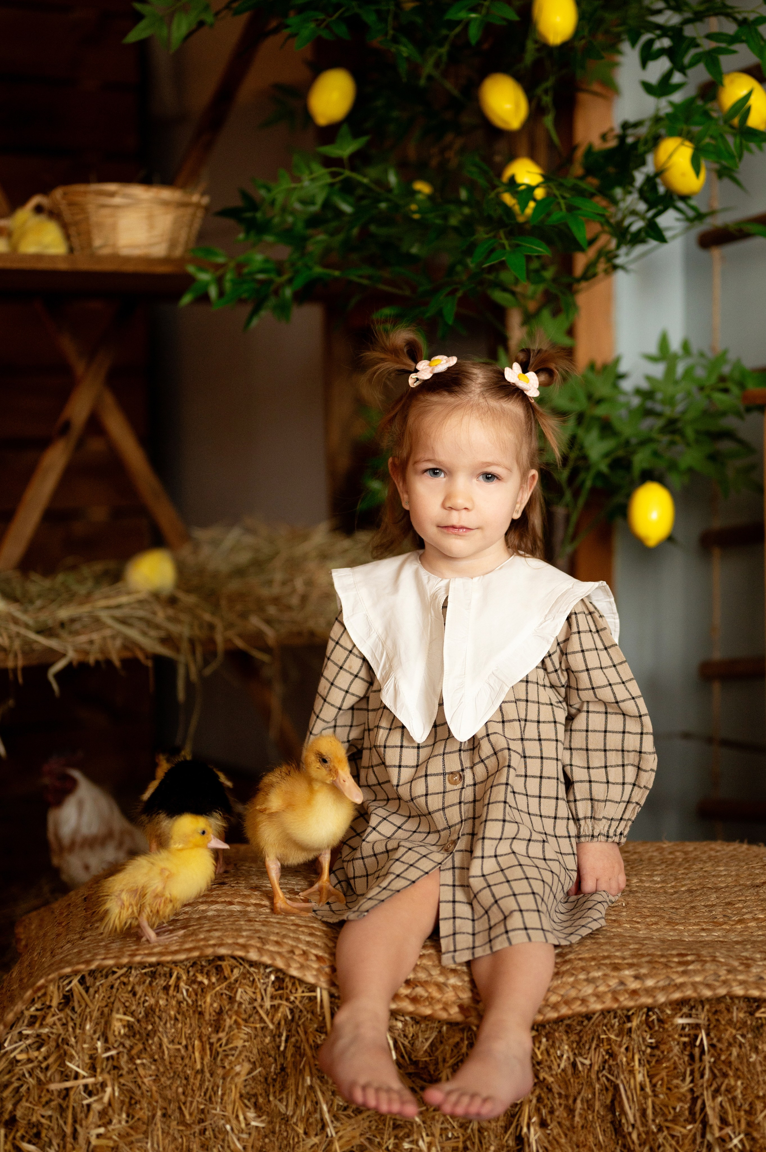 Нарния. Фотограф новорожденных, семейный детский в Тюмени Татьяна Морозова