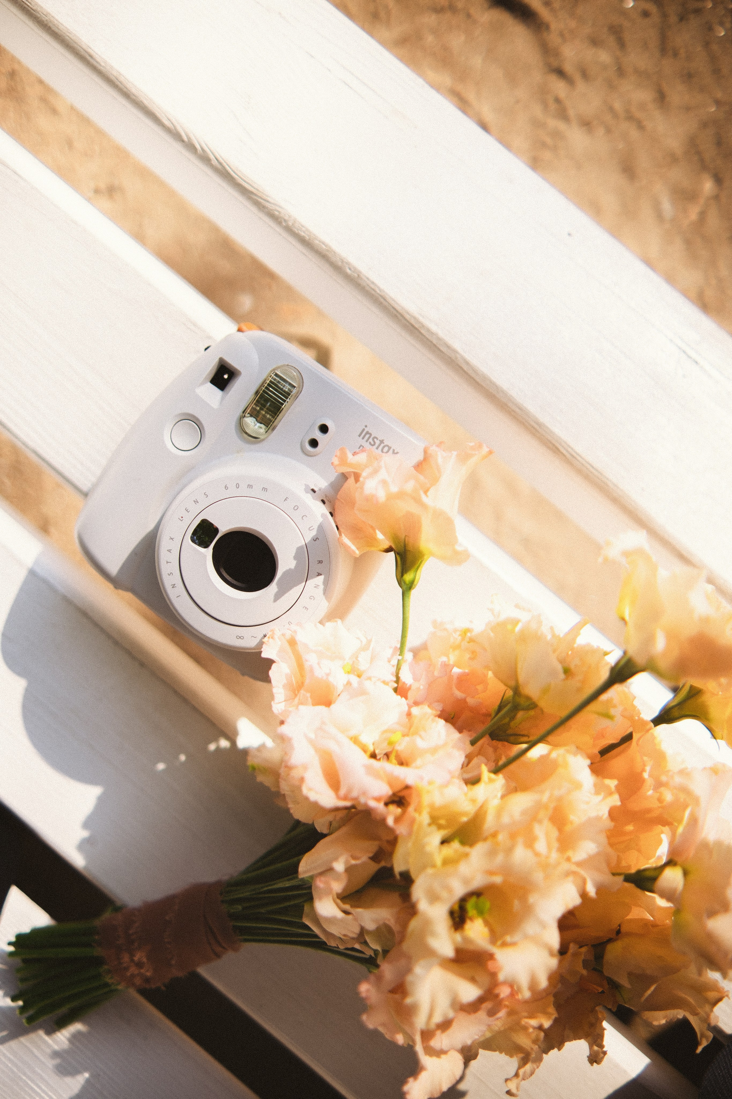 Портфолио. Фотограф в Санкт-Петербурге