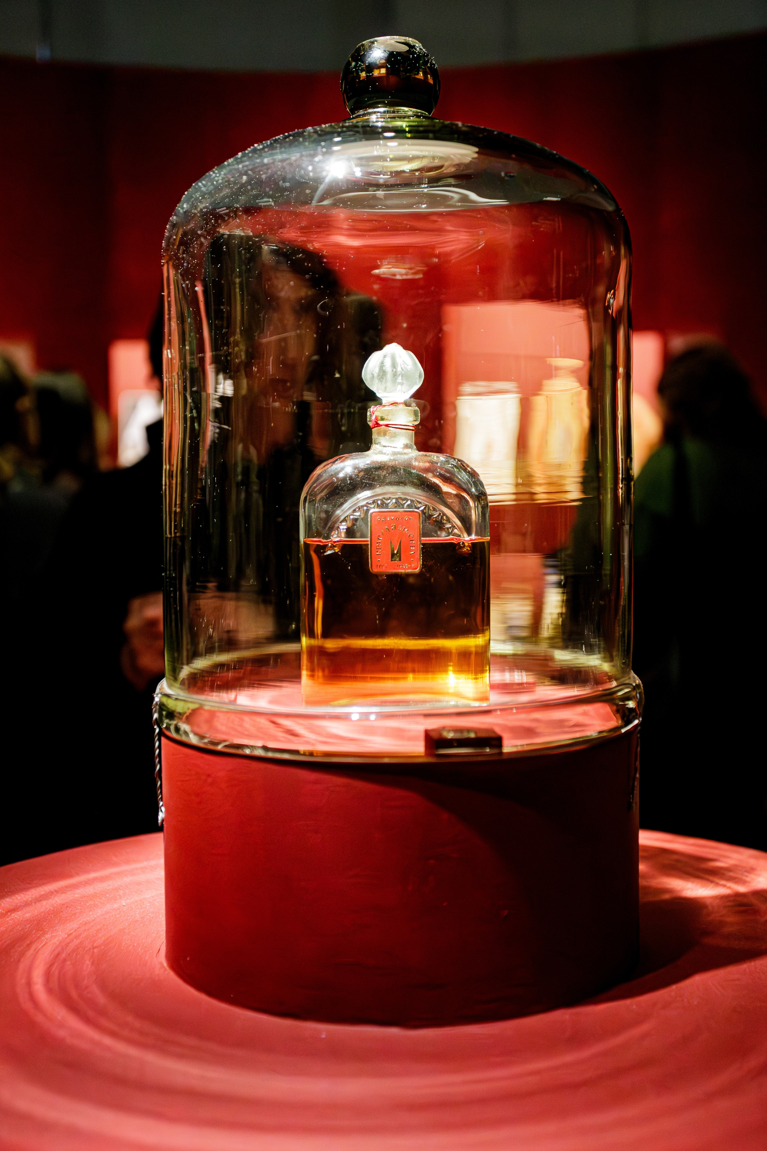 Выставки (Expo). Репортажный Фотограф