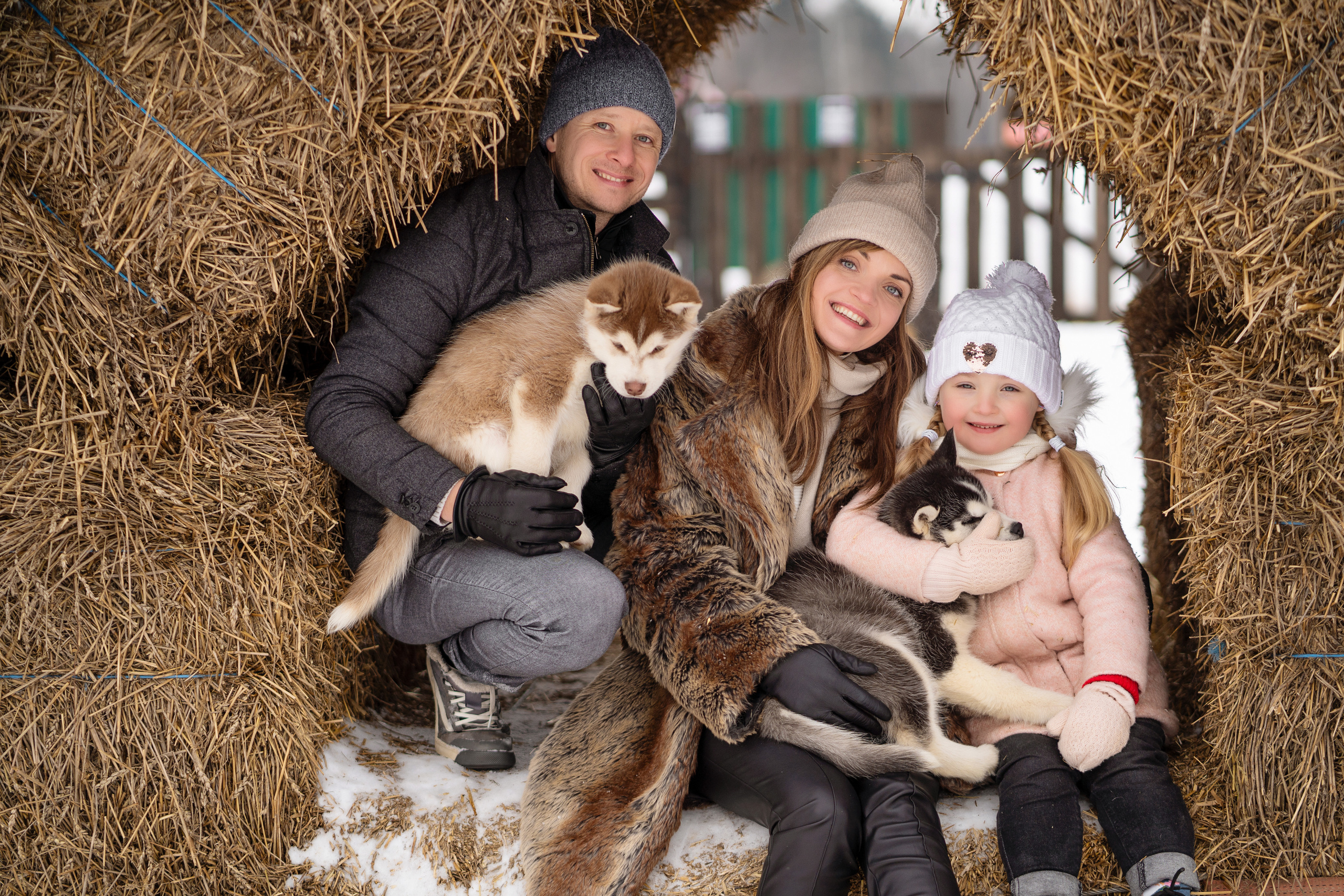 Хаскипарк. Семейный и свадебный фотограф Минск, Беларусь Анна Орловская