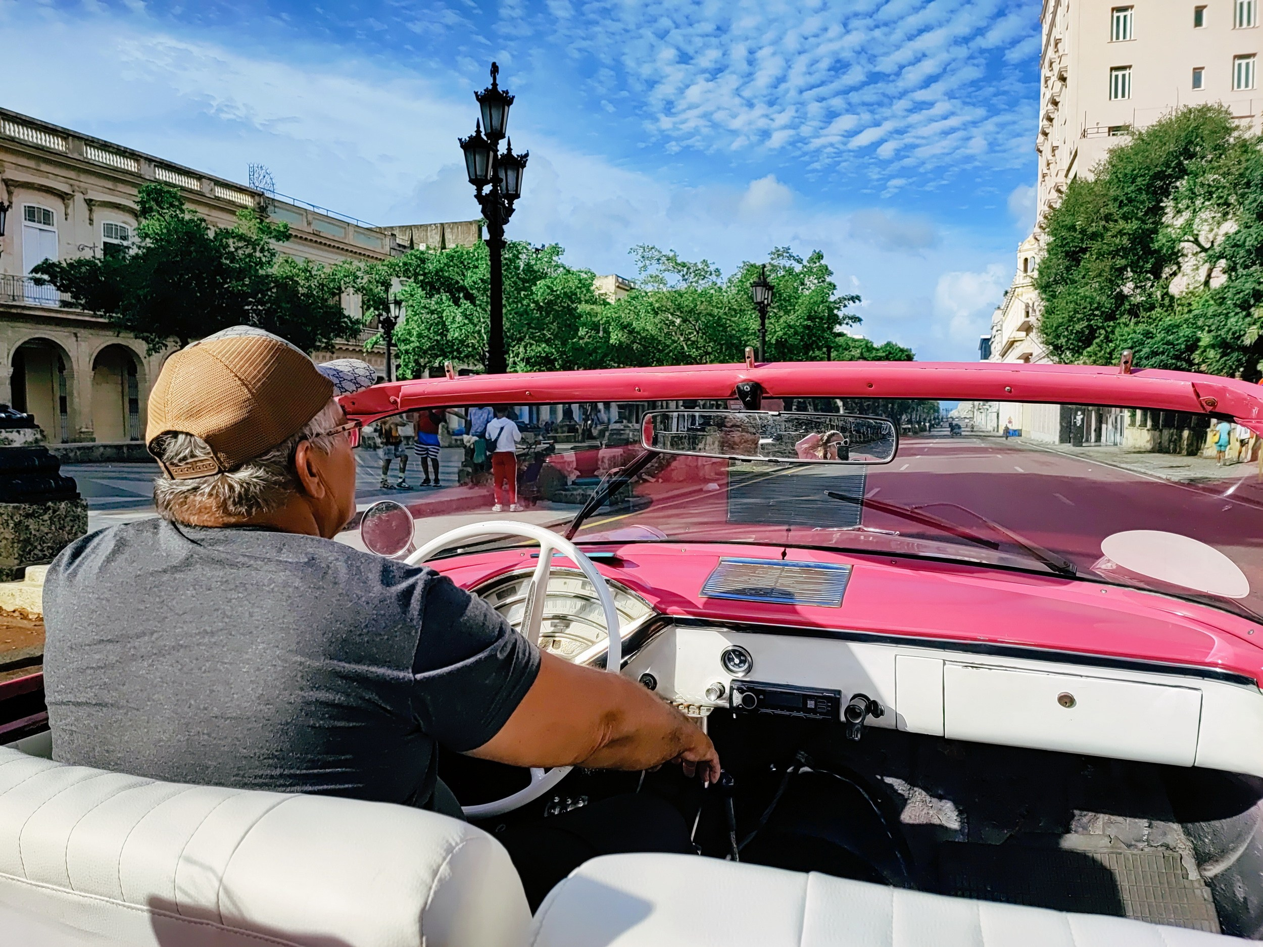 Намобилкус кубинский. Репортажный фотограф Алексей Пирязев
