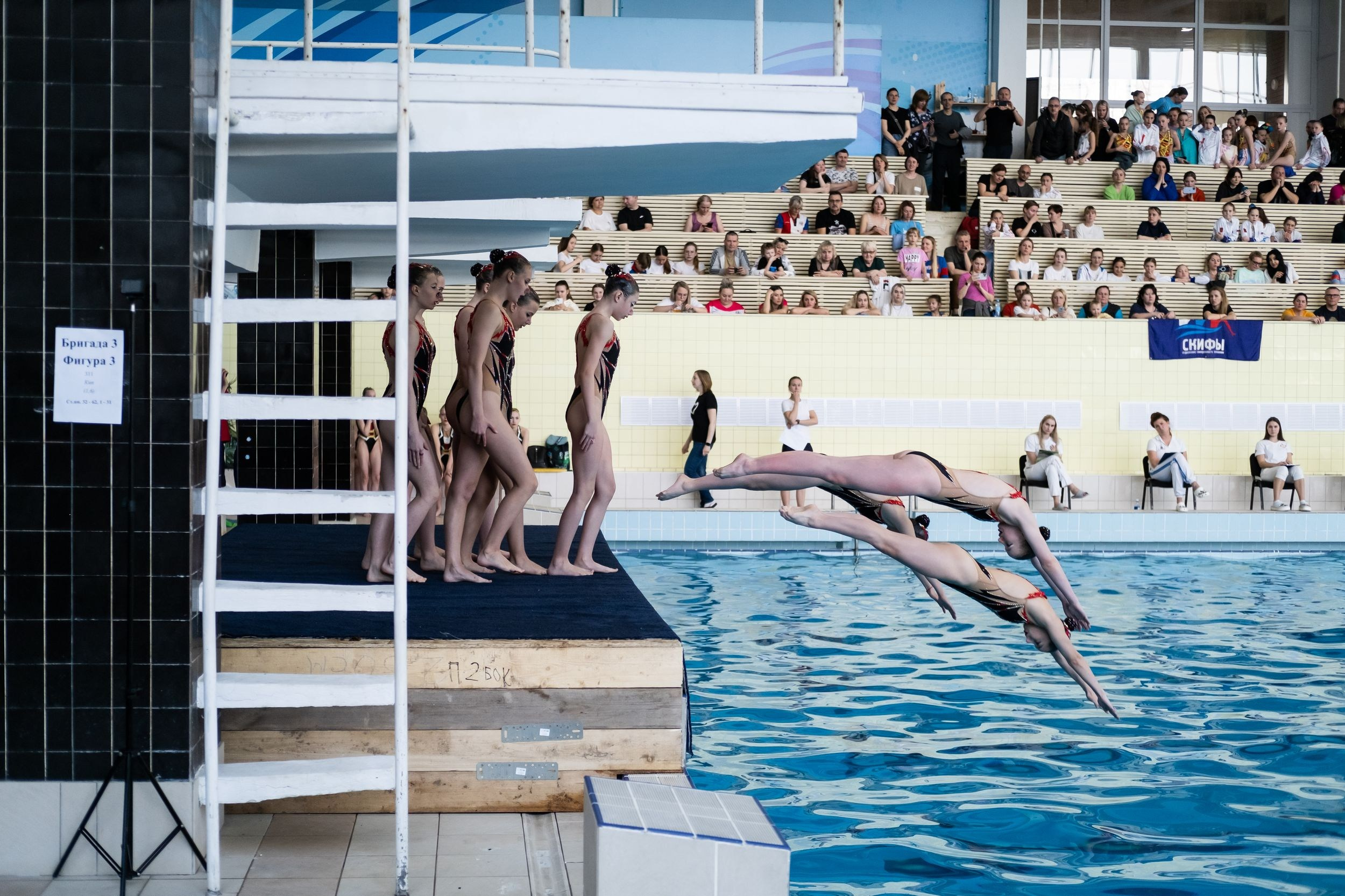 Первенство ЦФО по синхронному плаванию (16 апреля 2023). Репортажный фотограф Алексей Пирязев